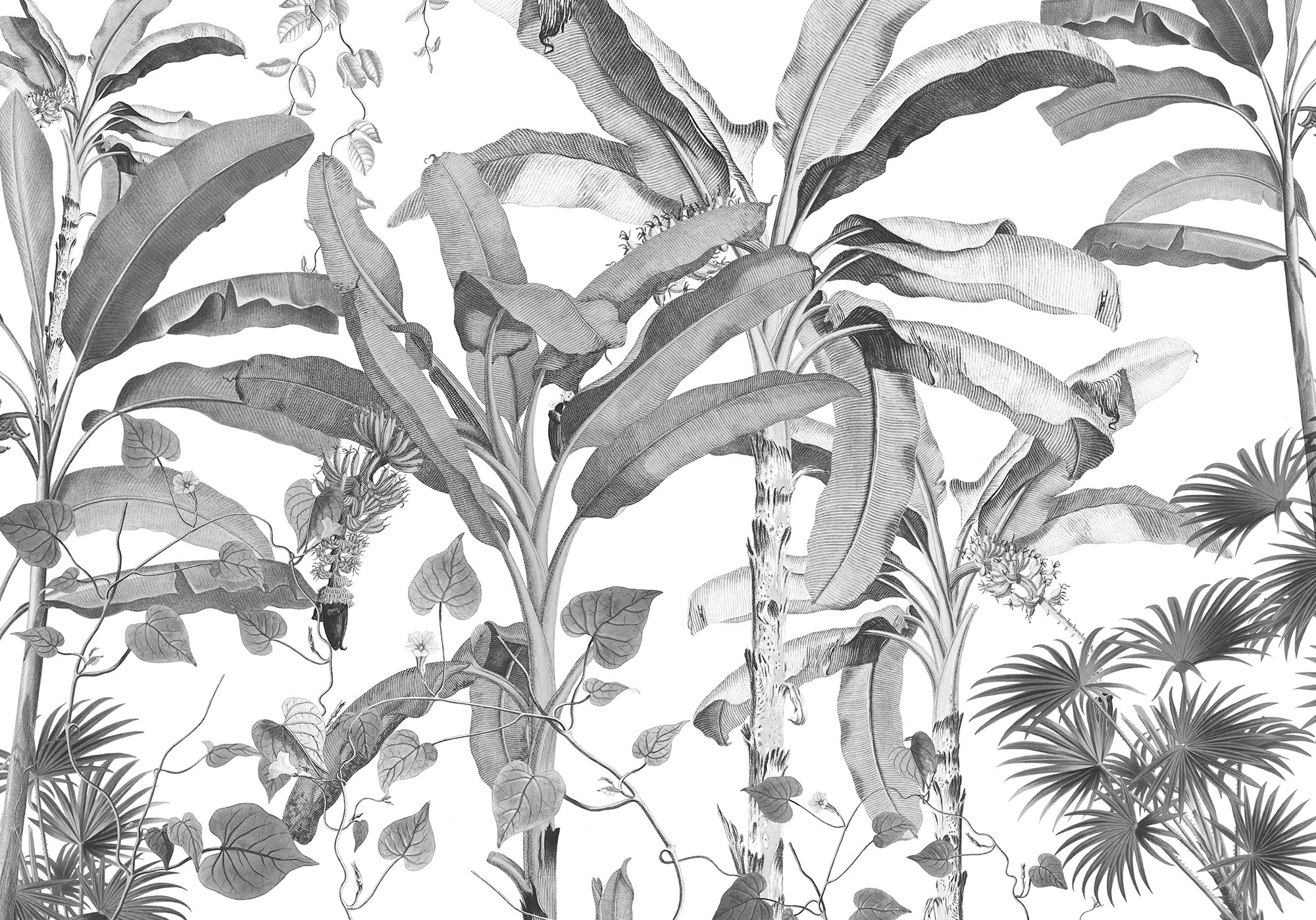Image of Komar Vliestapete "Digitaldruck Vlies - Croissances Monochrome - Grösse 400 x 280 cm" bedruckt glatt Wohnzimmer, Schlafzimmer