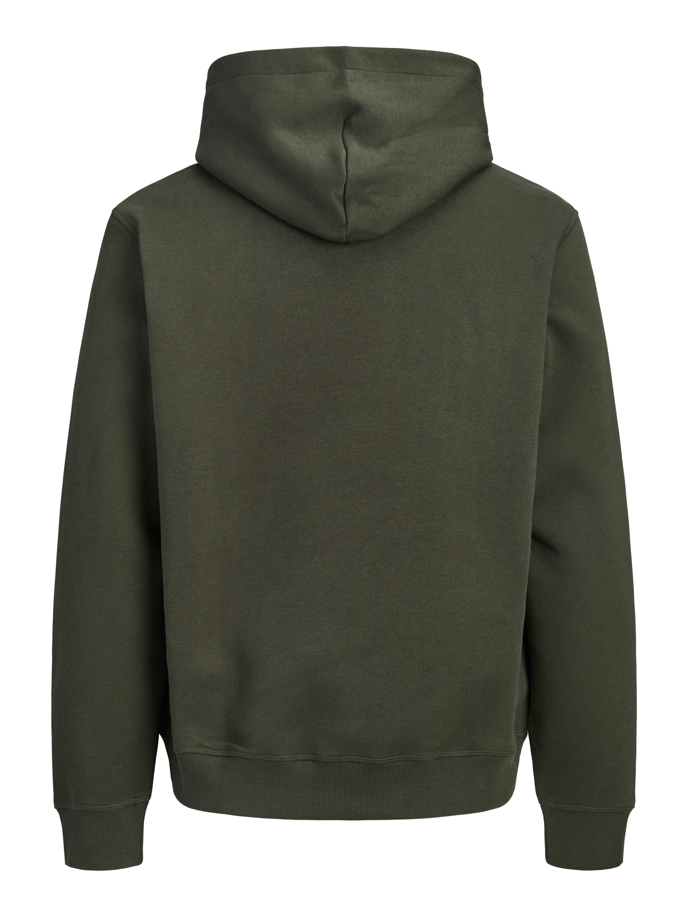 Jack & Jones PlusSize Sweat à capuche »JORFREDERIKSBERG COLORFULL FRONT SWH PLS«, Baumwollmischung, locker geschnitten
