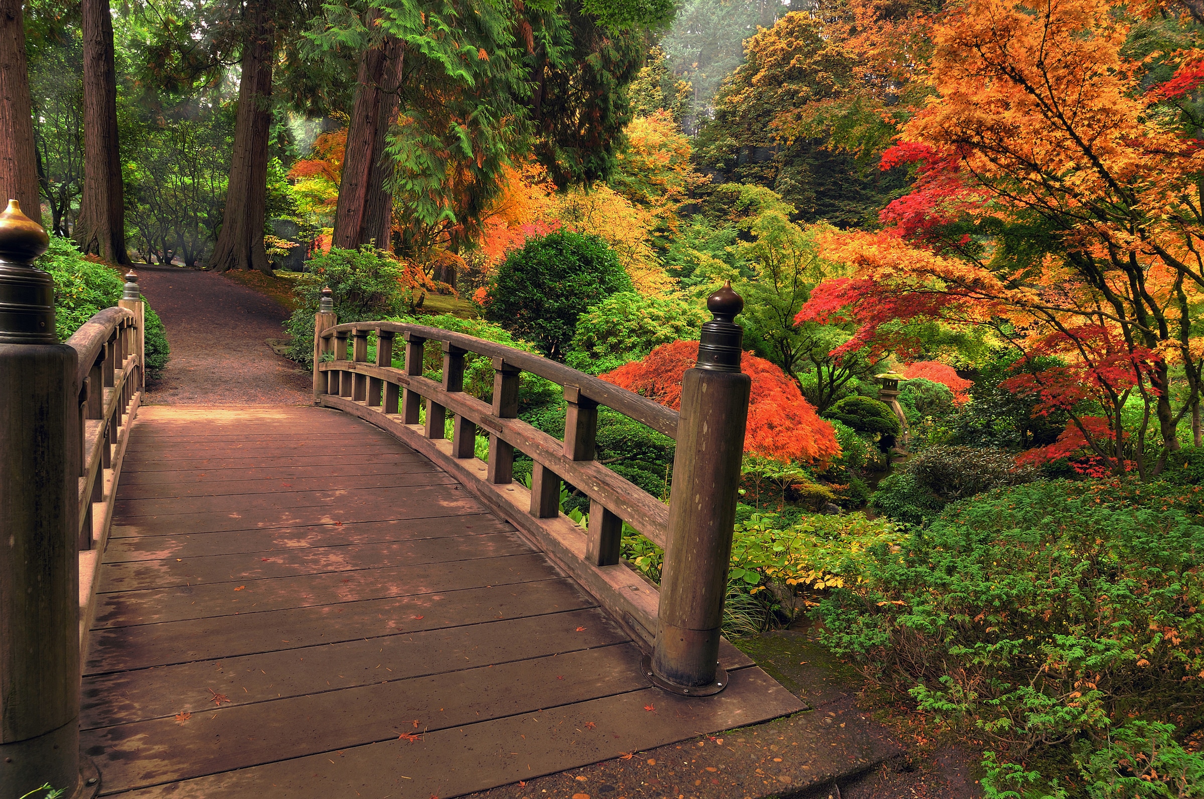 Image of Papermoon Fototapete "Autumn Bridge" glatt