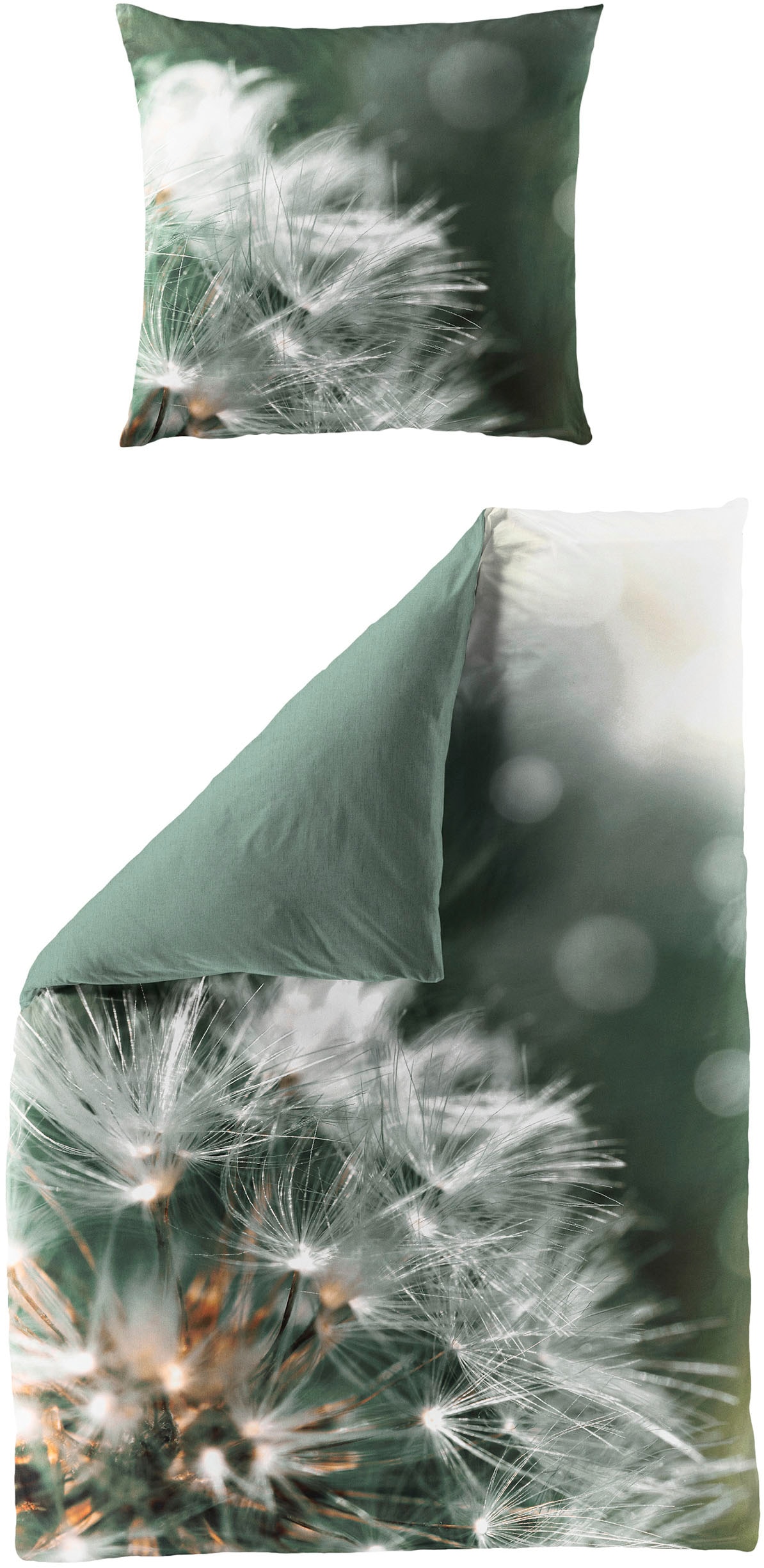 Image of BIERBAUM Bettwäsche "5084" 2 Stk. Mako-Satin, 100 % Baumwolle, pflegeleicht; Digitaldruck