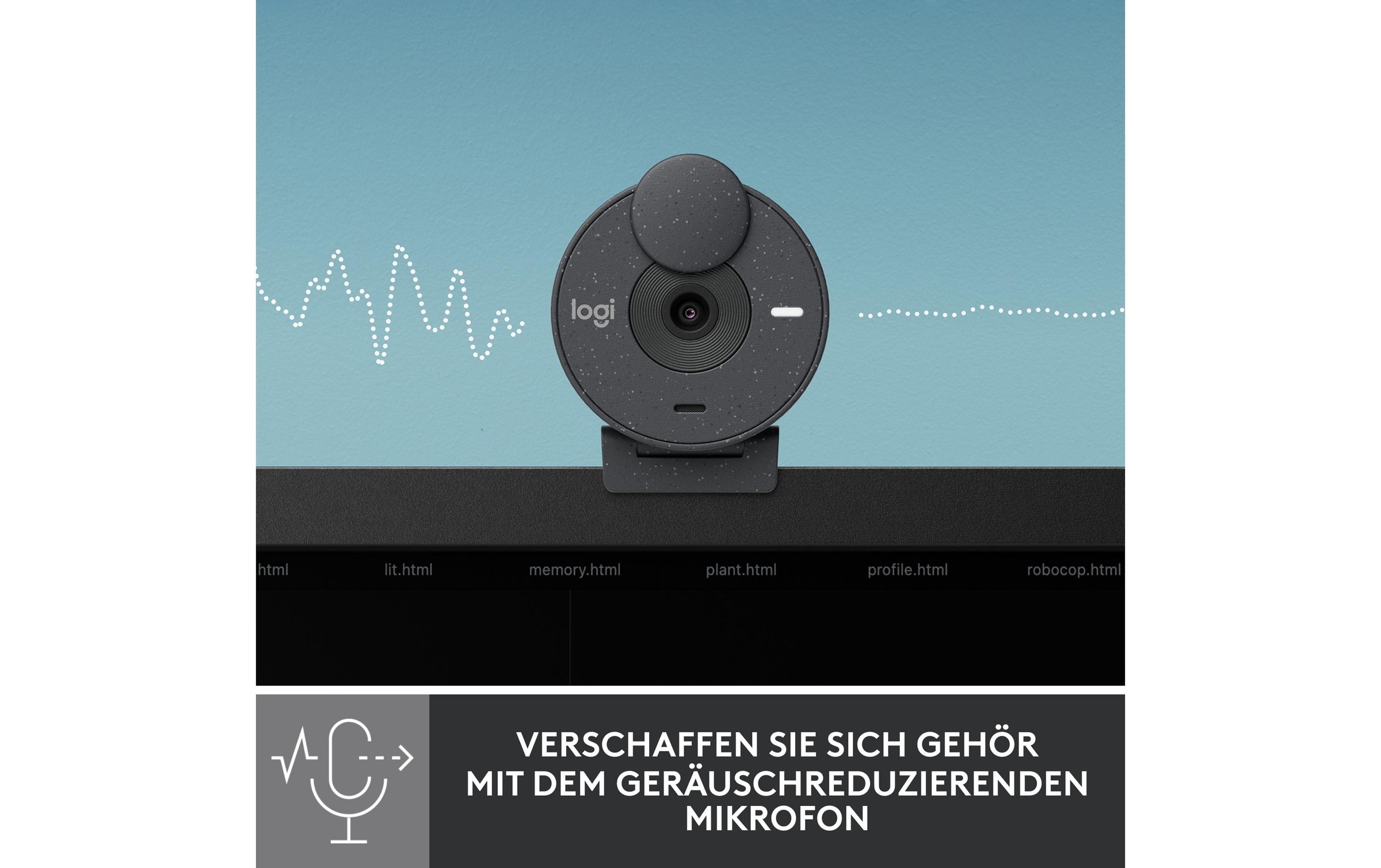 Image of Logitech Webcam "Brio 300 graphite"