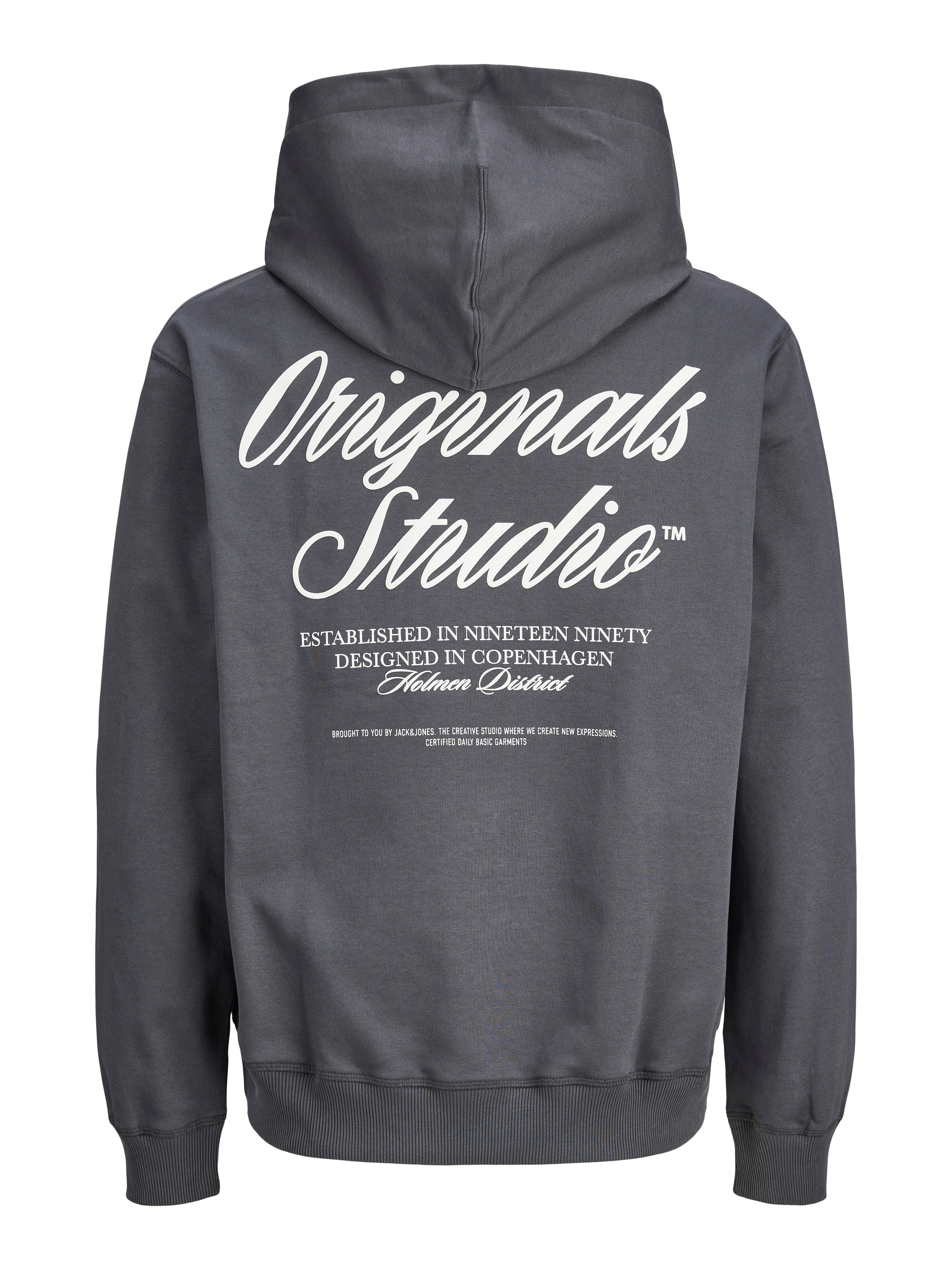 Jack & Jones PlusSize Kapuzensweatshirt »JORNORREBRO TYPO BACK SWEAT HOOD PLS«