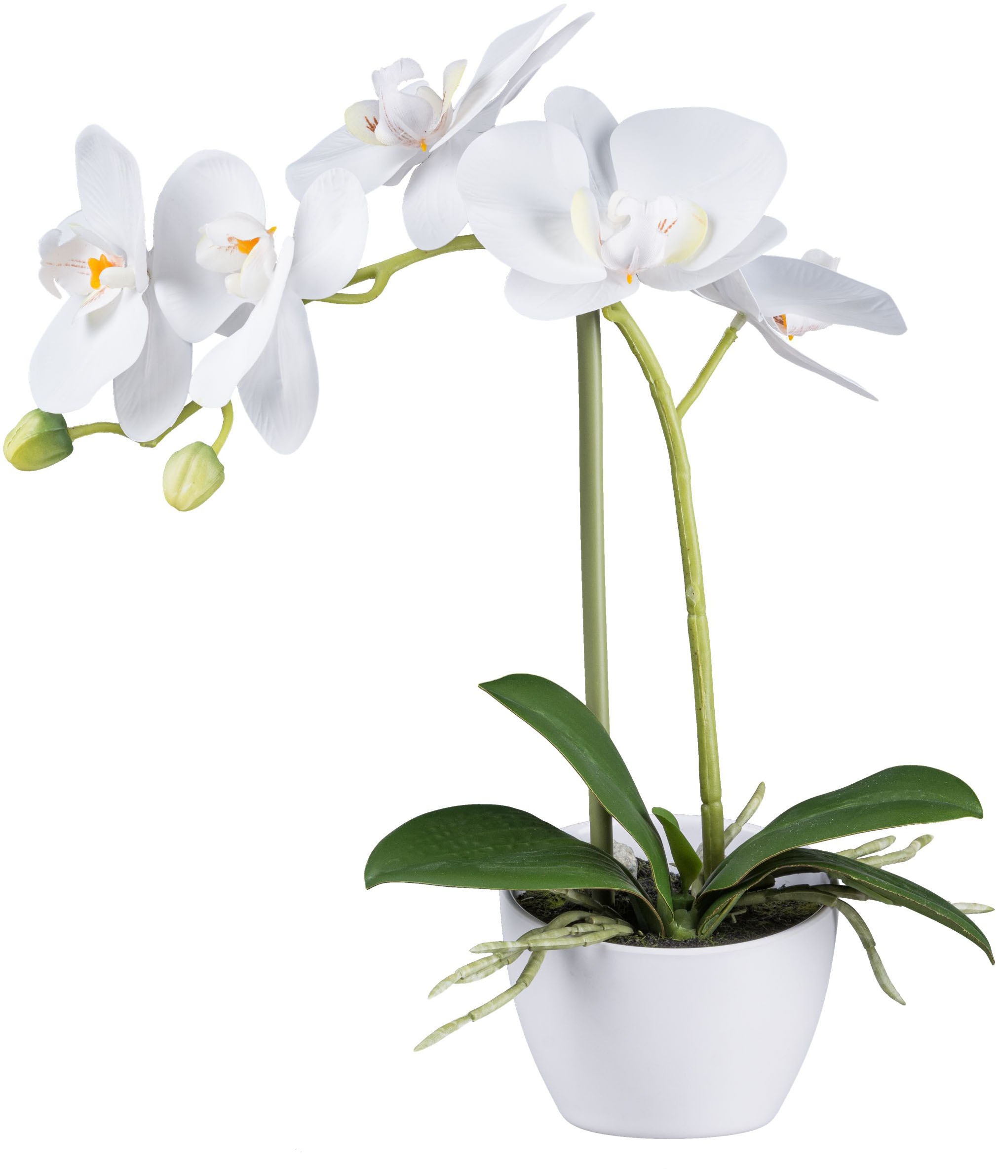 Creativ green Kunstorchidee »Orchidee Phalaenopsis«, im Design-Topf