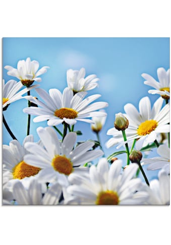 Glasbild »Blumen - Margeriten«, Blumen, (1 St.)