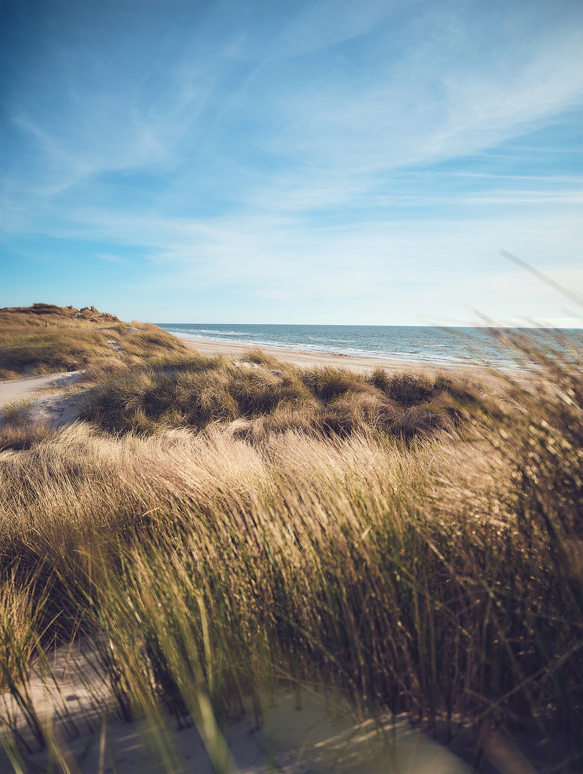 Image of Bönninghoff Leinwandbild "Wandbild DÜNEN UND MEER 46x61 cm – Leinwandbild Keilrahmen Deko modern" Düne Strand 1 Stk. tlg. auf Keilrahmen gespannt