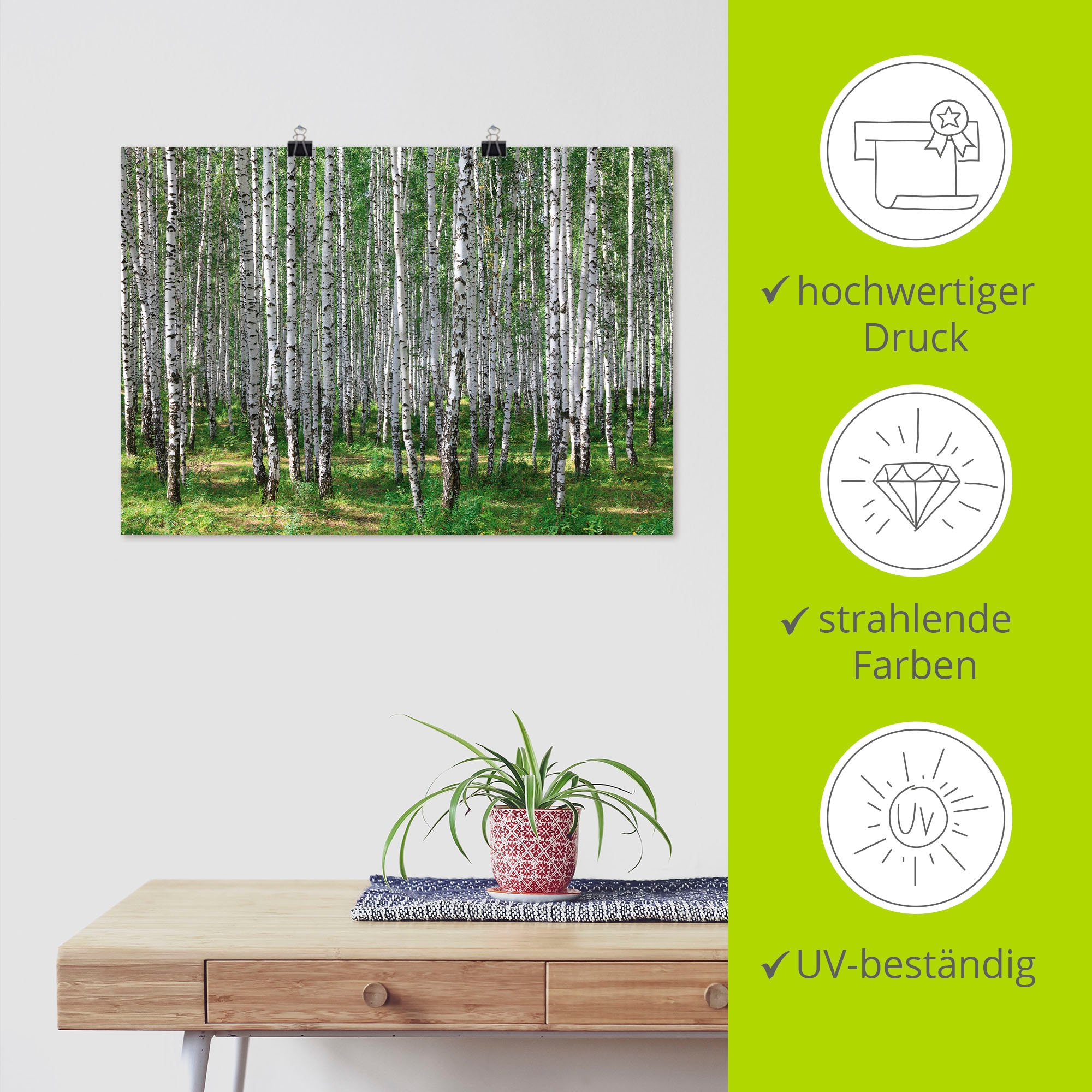 Artland Wandbild »Birkenwald«, Wald, (1 St.), als Poster, Wandaufkleber in verschied. Grössen