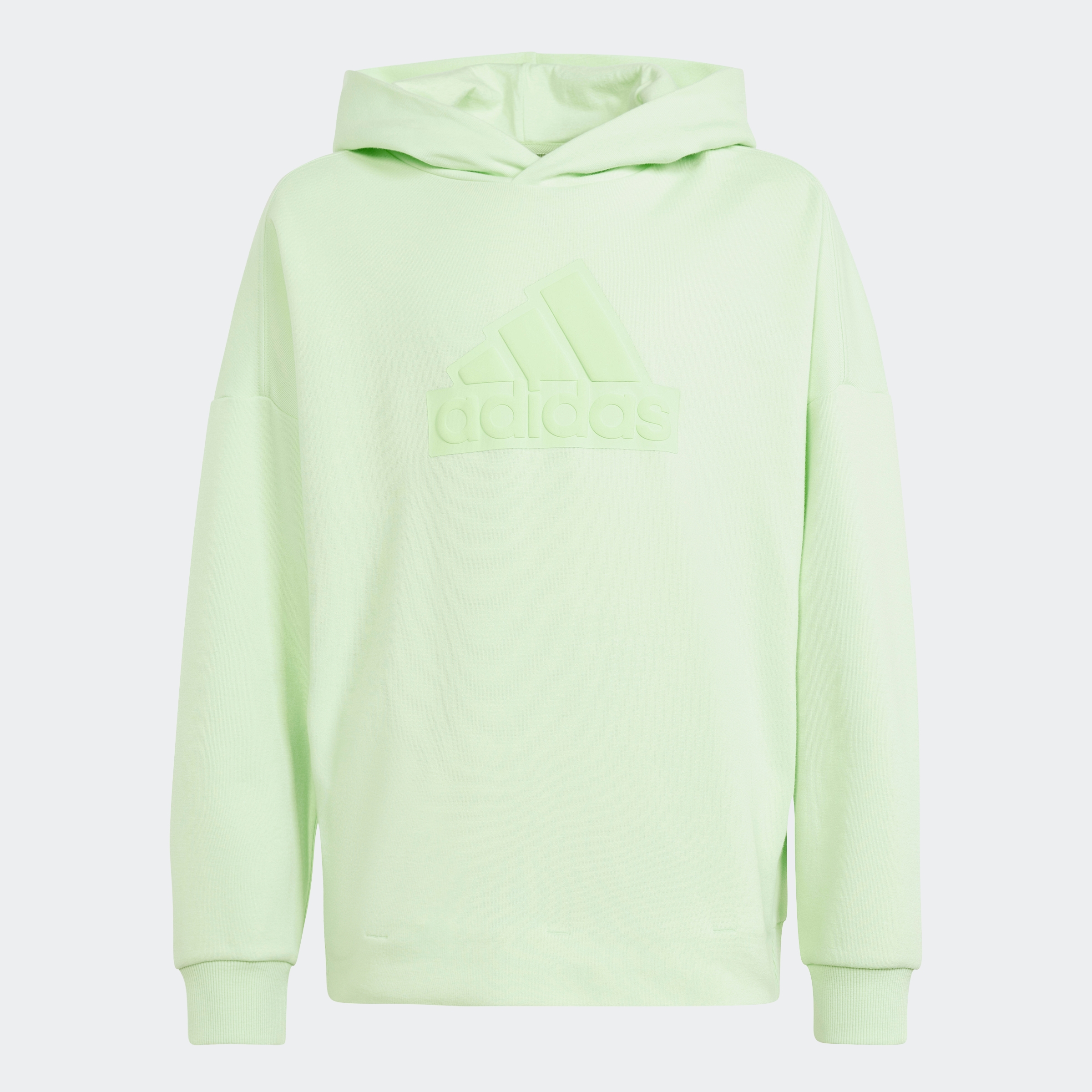 adidas Sportswear Kapuzensweatshirt »FUTURE ICONS LOGO HOODIE«