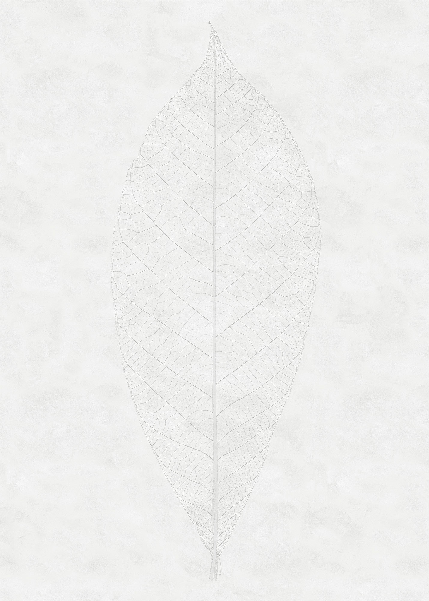 Image of Komar Vliestapete "Digitaldruck Vlies - Decent Leaf - Grösse 200 x 280 cm" bedruckt glatt Wohnzimmer, Schlafzimmer