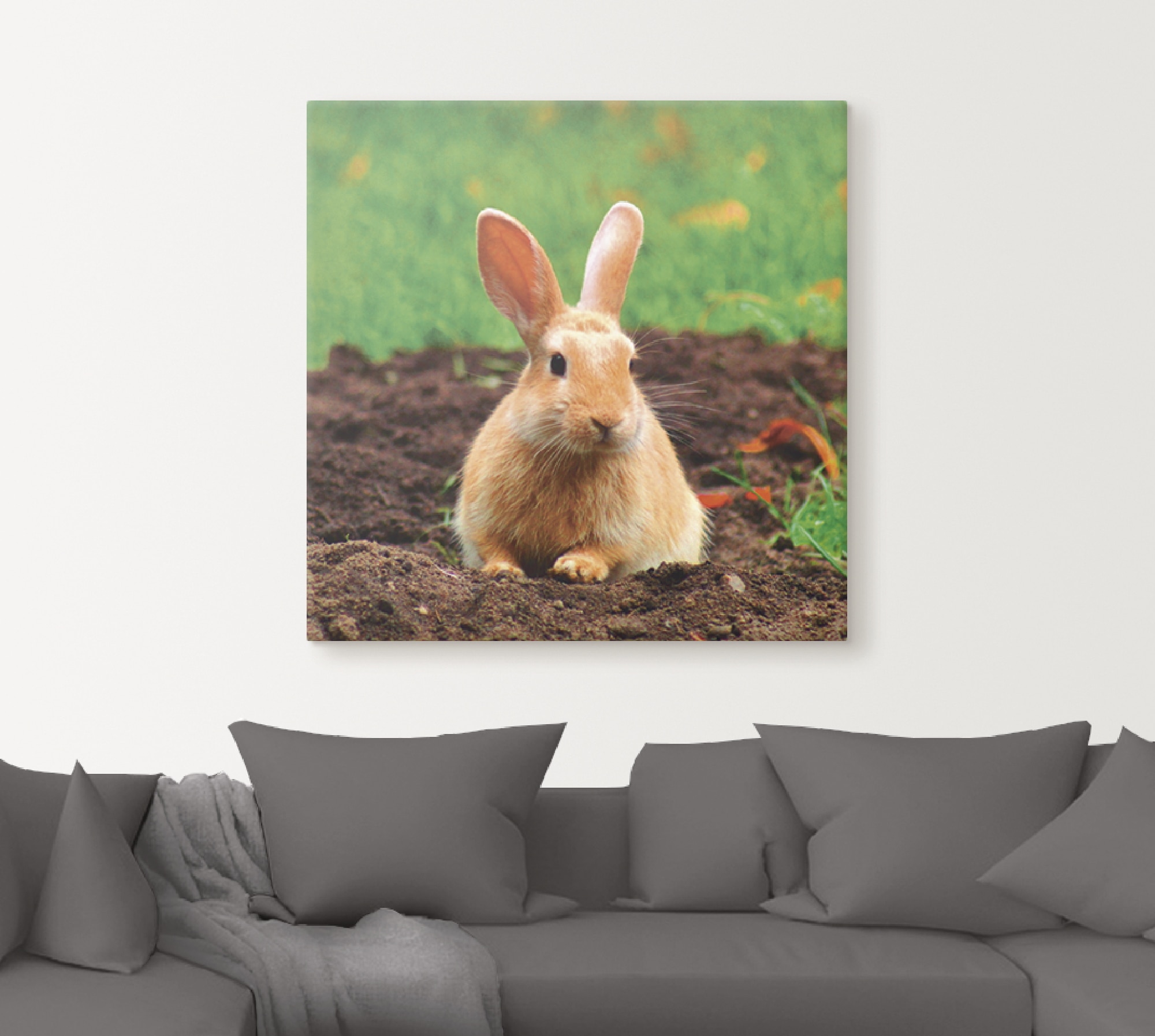 Artland Wandbild »Glückliches Zwergkaninchen«, Wildtiere, (1 St.), als Leinwandbild, Wandaufkleber in verschied. Grössen