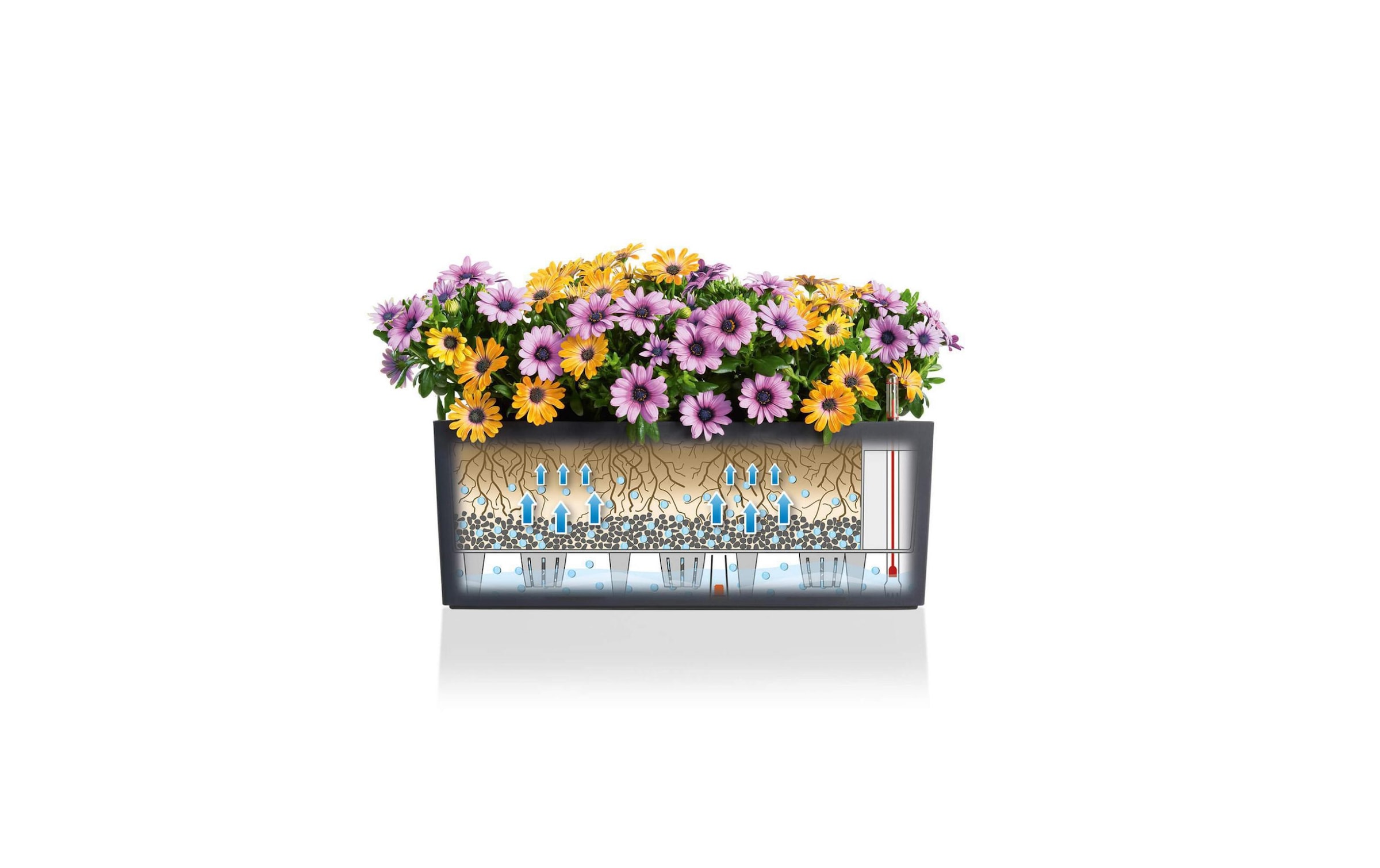   Pot de fleurs »Lechuza Balconera Cottage 50 Braun«