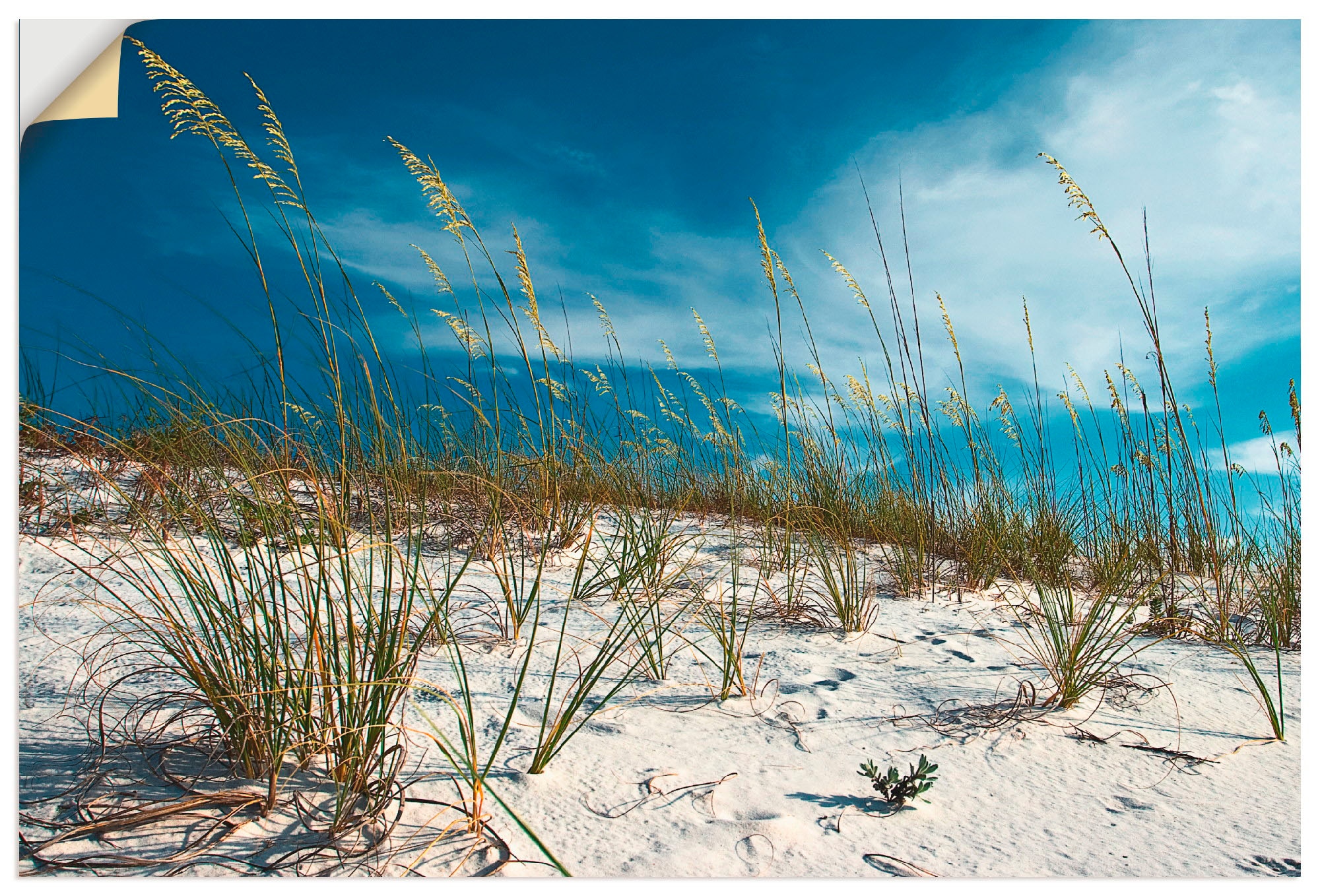 Artland Wandbild »Sanddüne und Gräser«, in Strand, Alubild, Leinwandbild, oder St.), (1 versch. als Poster Wandaufkleber kaufen Grössen