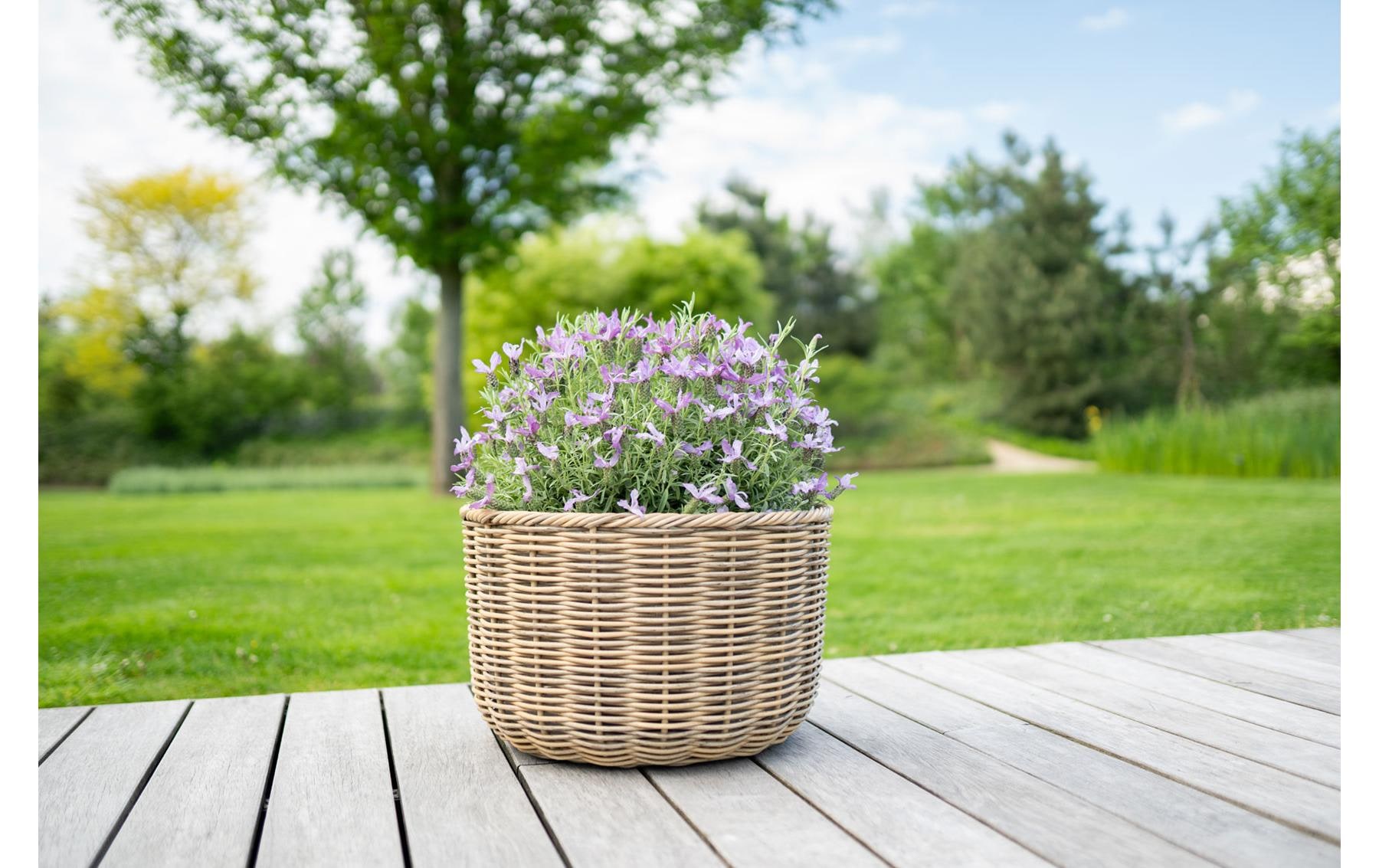   Blumentopf »CHALET Korb Chalet«