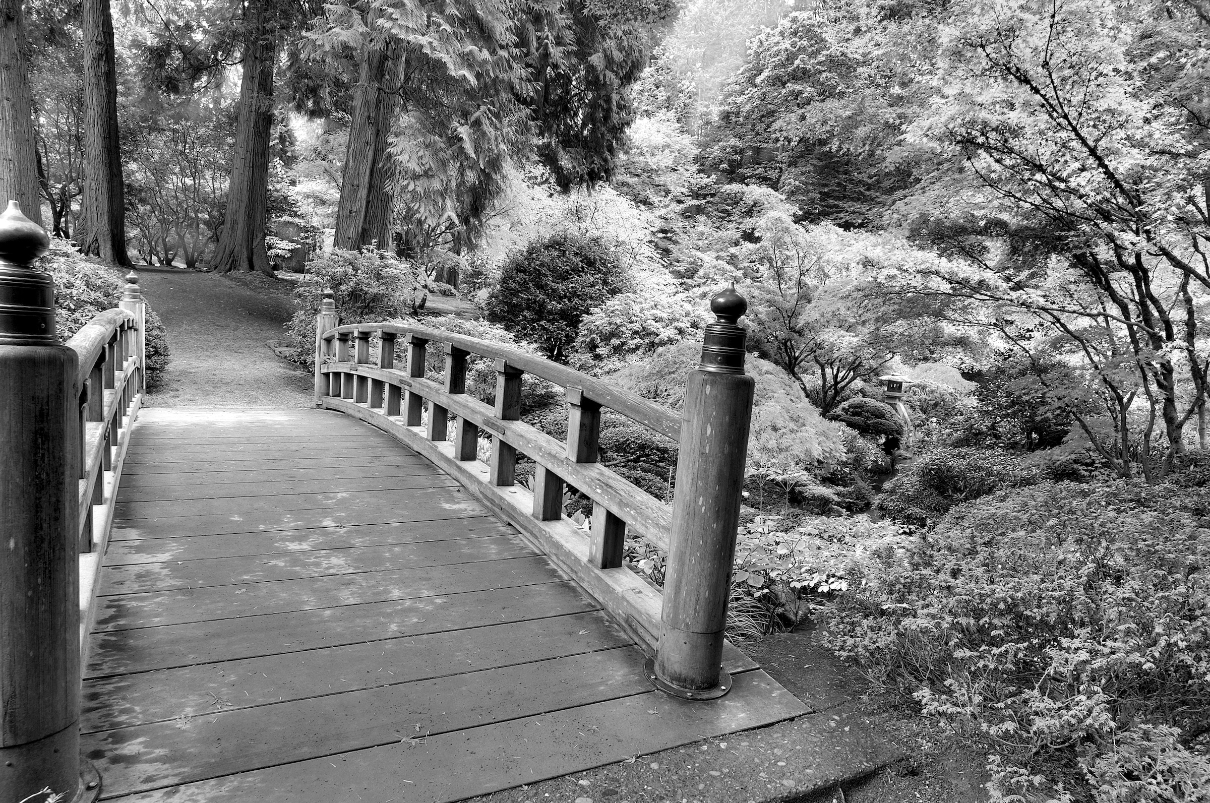 Image of Papermoon "Brücke Schwarz & Weiss"