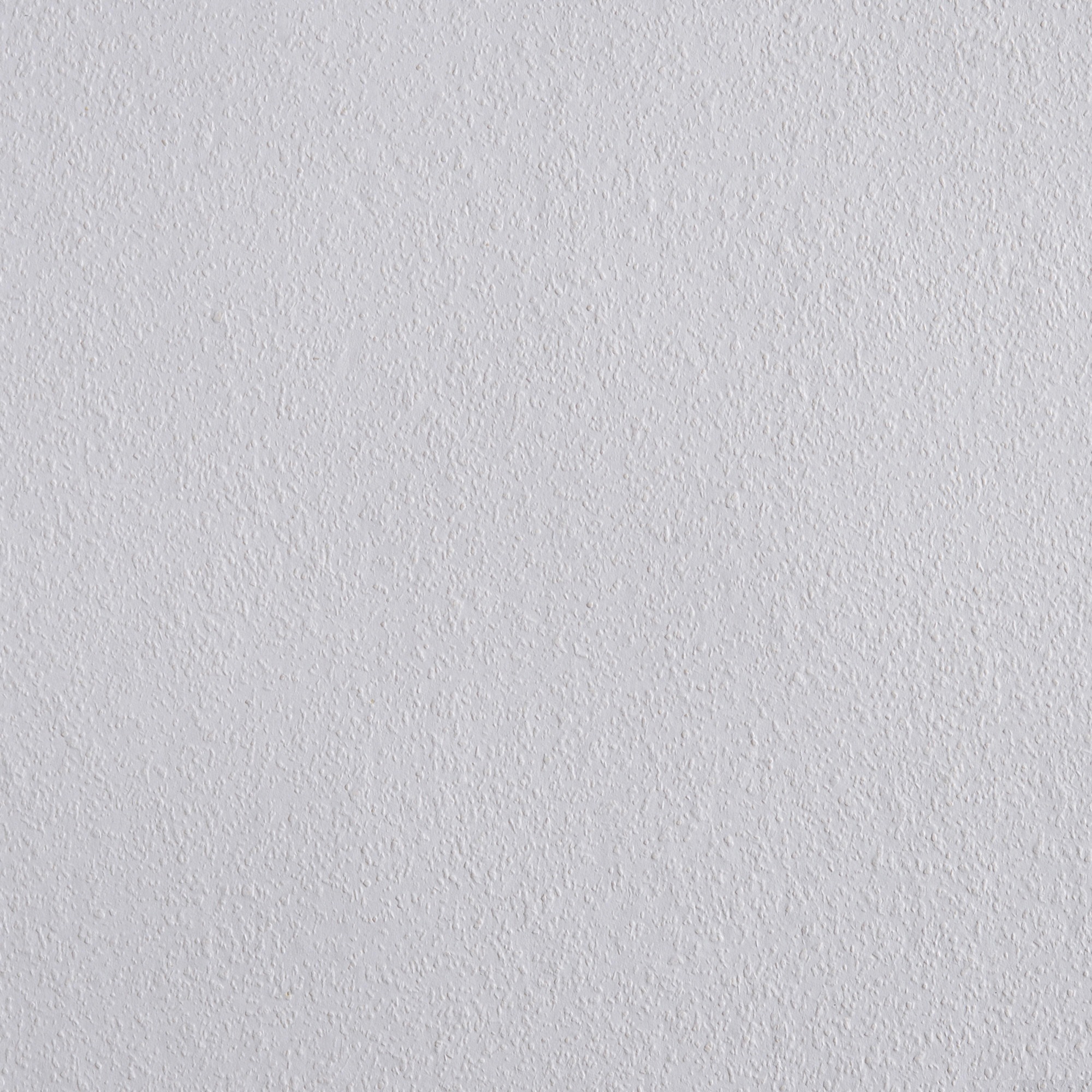 Image of Erfurt Tapeten Papiertapete »Rauhfaser 40 ruhig mittel«, 1, 2 oder 6 Rolle bei Ackermann Versand Schweiz