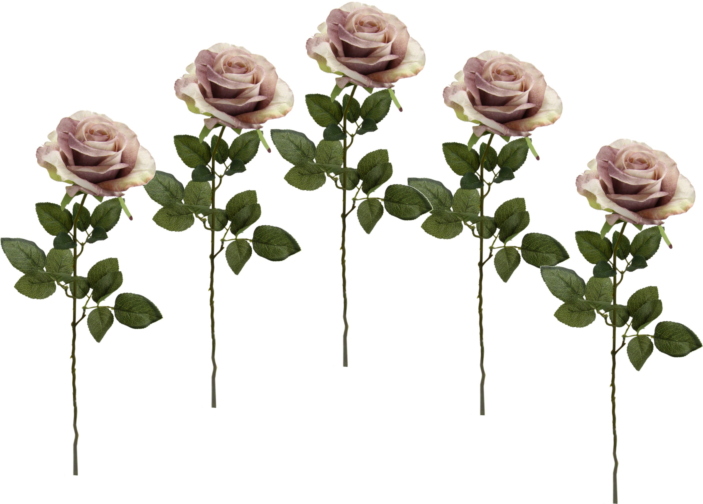 Kunstblume »Rose«, 5er Set