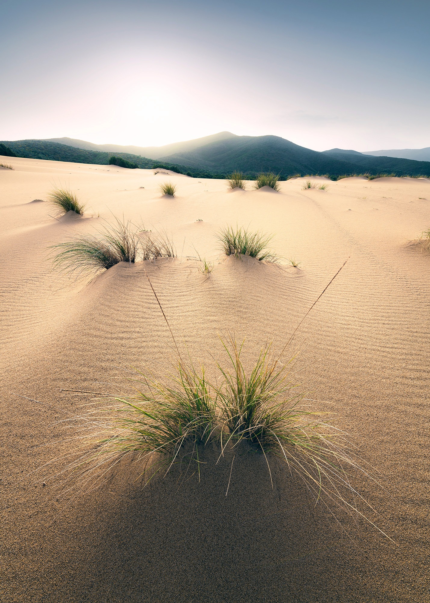 Image of Komar Vliestapete "Digitaldruck Vlies - Vivid Dunes - Grösse 200 x 280 cm" bedruckt glatt Wohnzimmer, Schlafzimmer