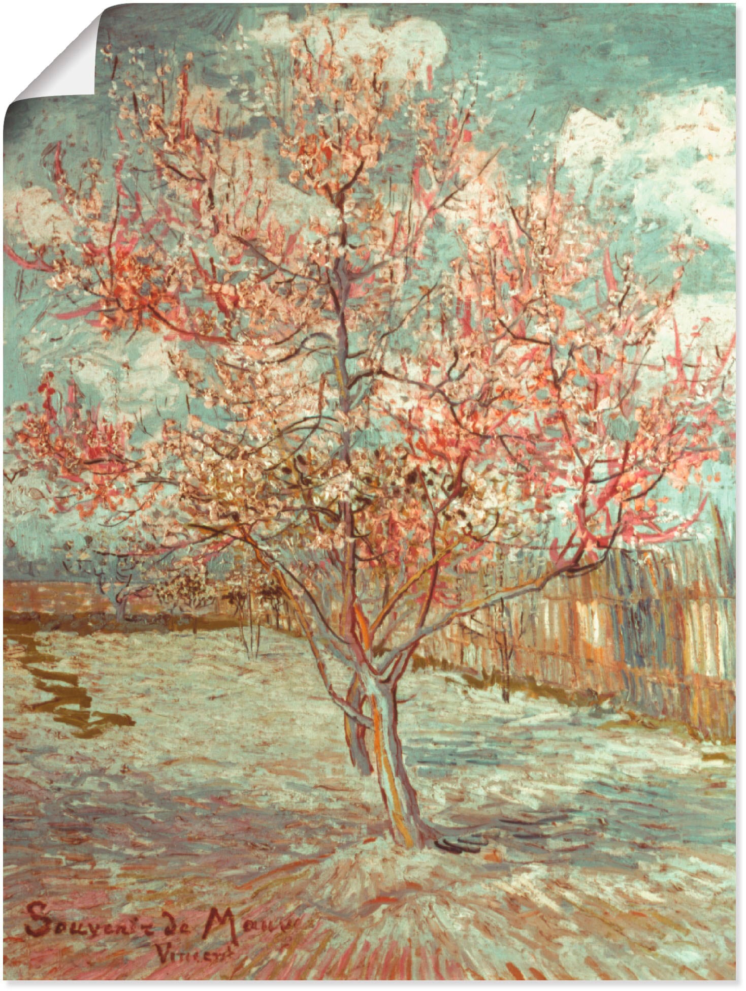 Image of Artland Poster "Blühender Pfirsichbaum, 1888" Wiesen & Bäume 1 Stk. tlg. als Poster in verschied. Grössen