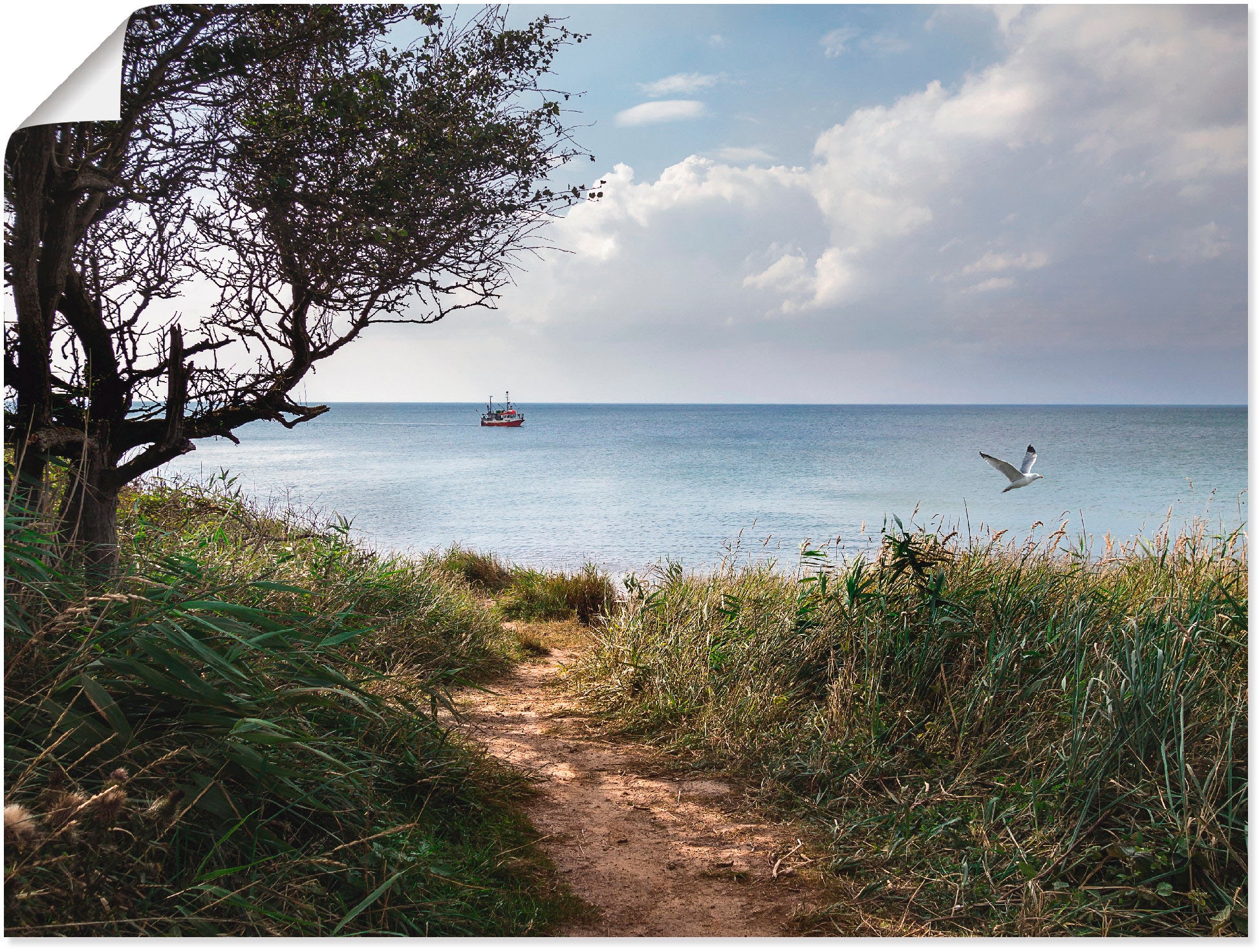 Image of Artland Poster "Wege zum Meer...." Gewässer 1 Stk. tlg. ohne Rahmen