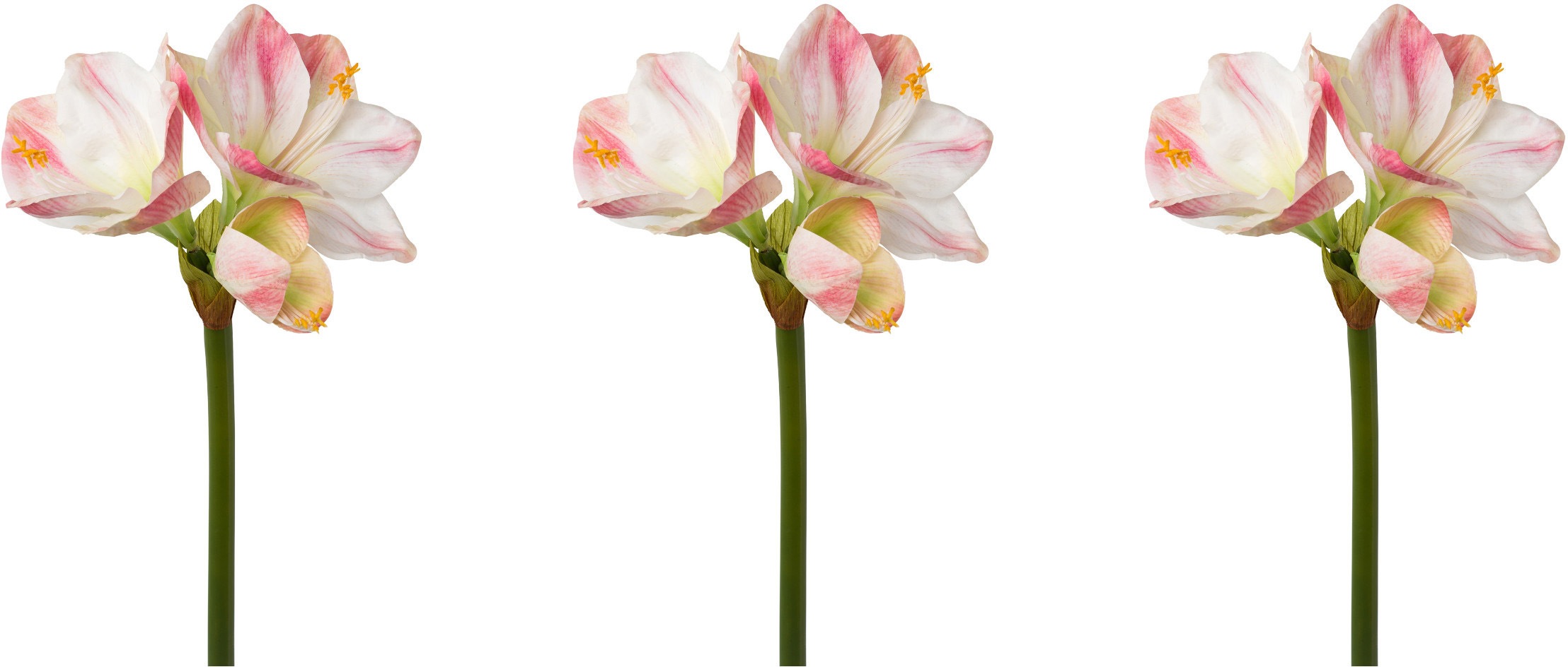 Image of Creativ green Kunstblume, (3 St., 3 Stück), Real-Toch-Blüten bei Ackermann Versand Schweiz