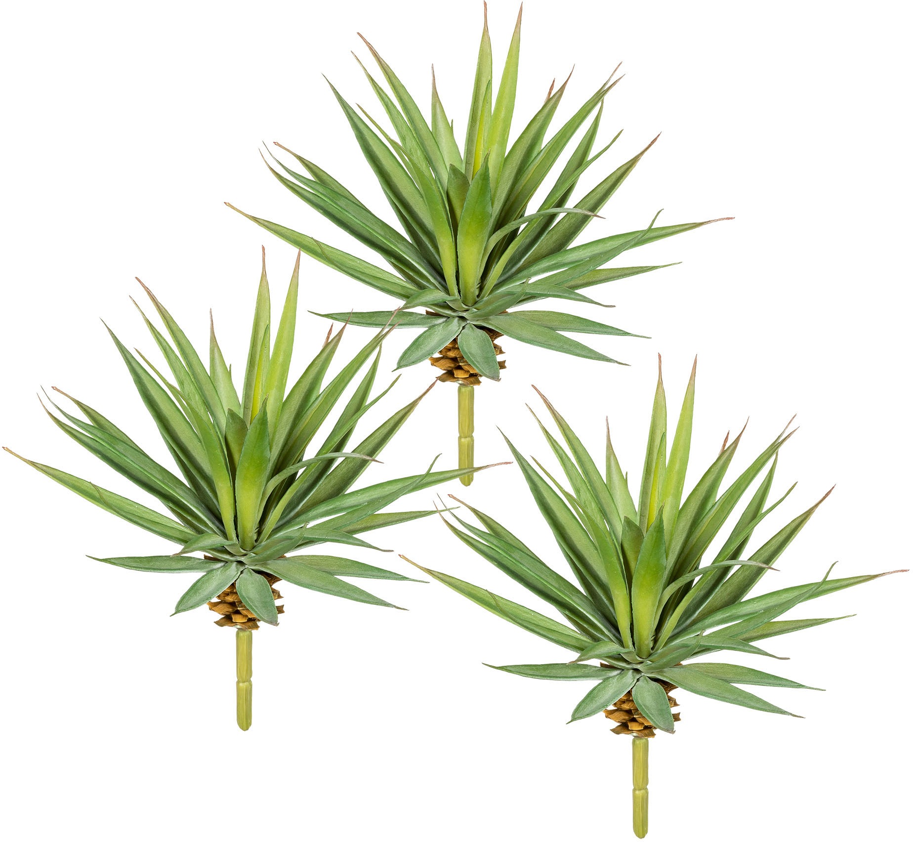 Image of Creativ green Kunstpflanze »Agave«, (3 St.) bei Ackermann Versand Schweiz