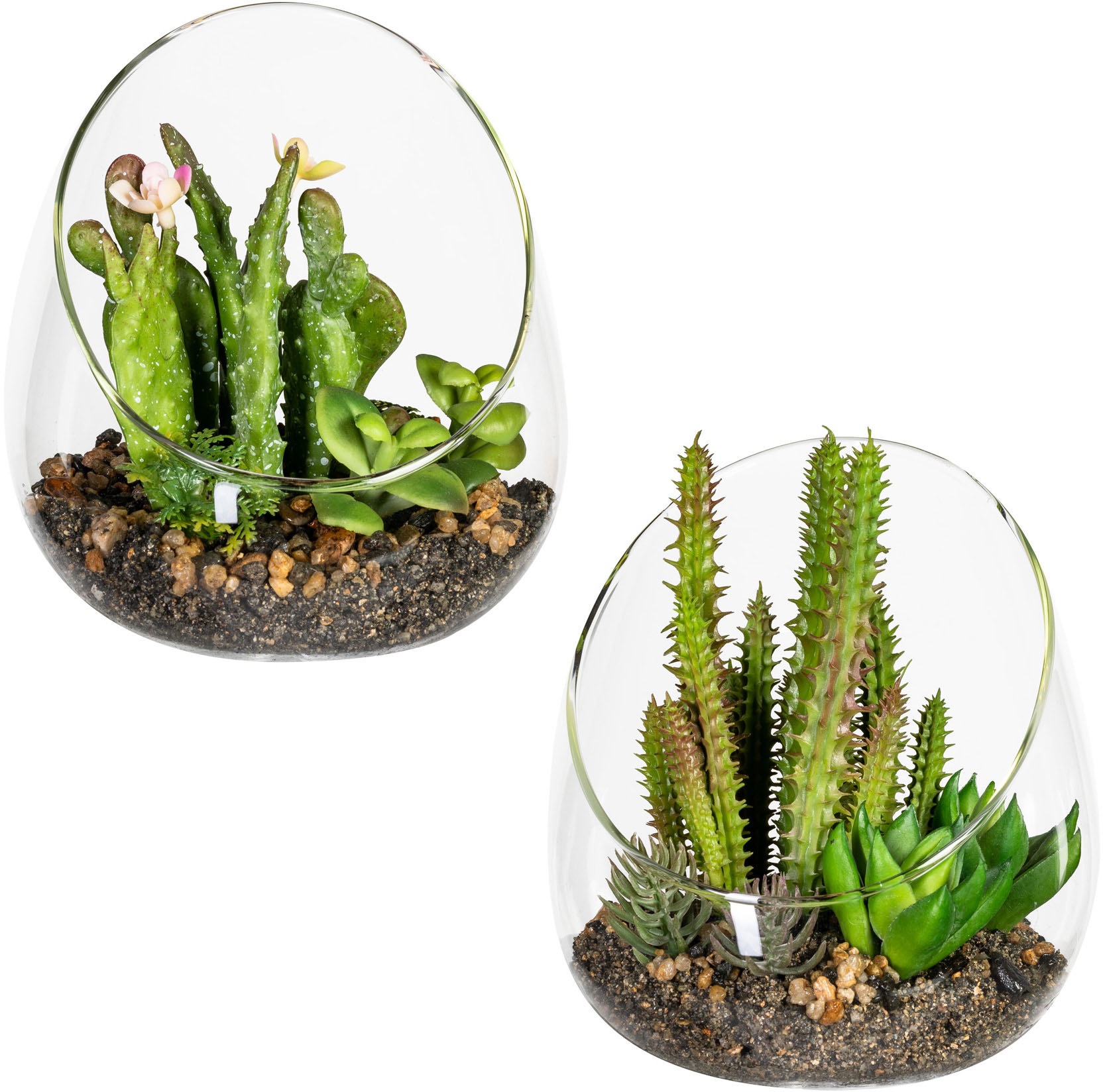 Image of Home affaire Kunstpflanze »Stourton«, (2 St.), in Glasvase, 2er Set bei Ackermann Versand Schweiz