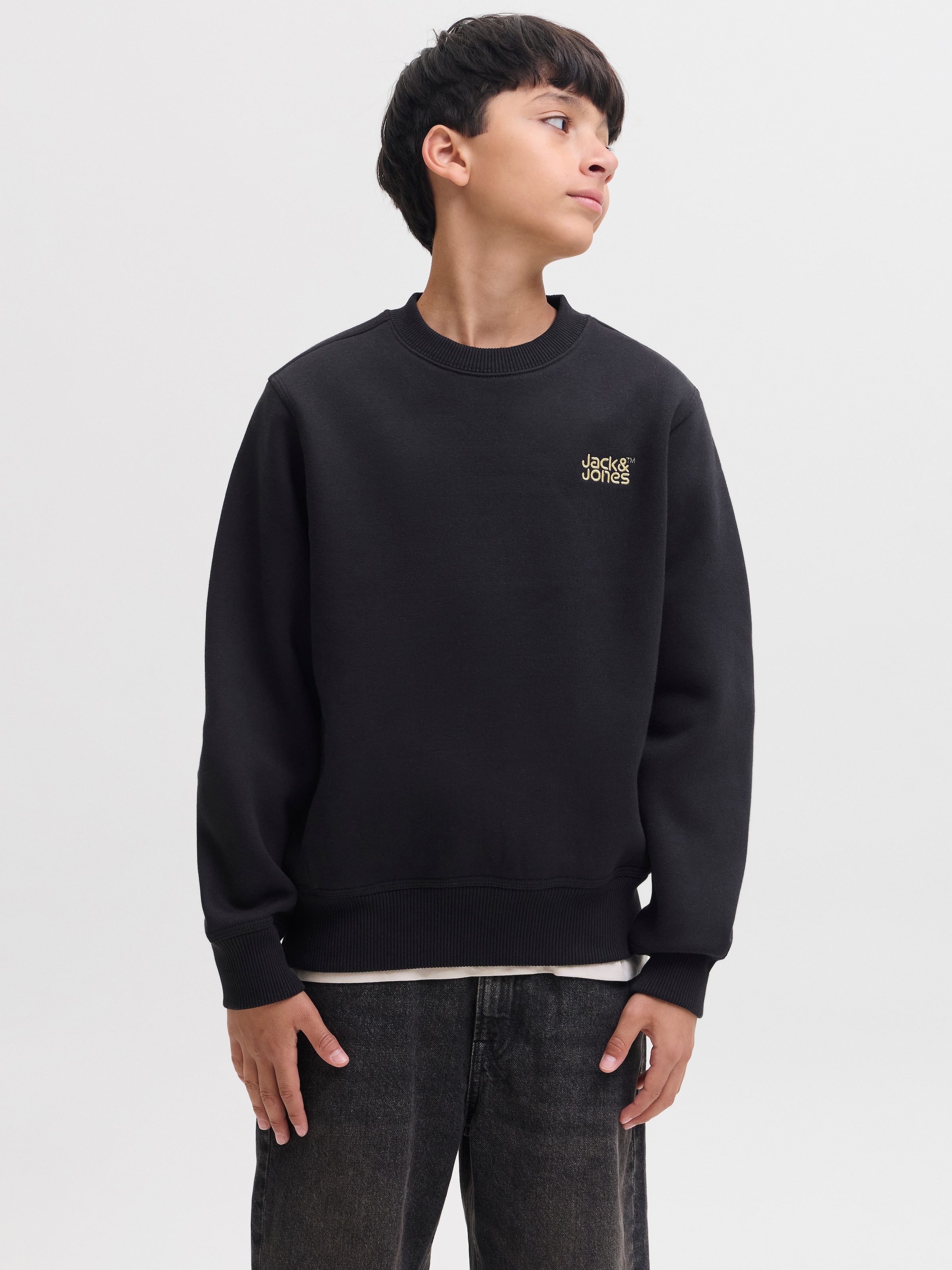 Jack & Jones Junior Sweatshirt »JJECOLTON SWEAT CREW NECK SN JNR«, Baumwollmischung, loose fit
