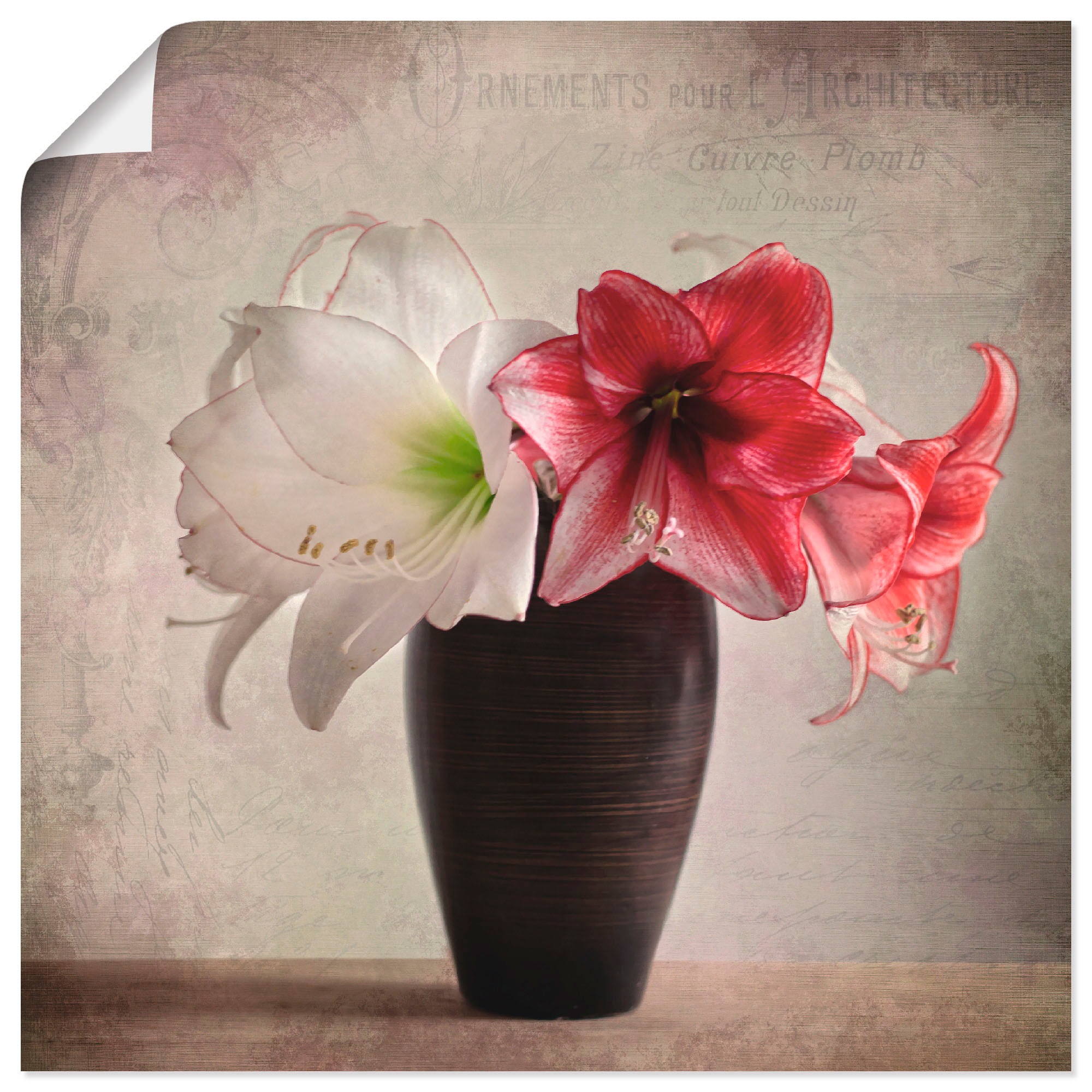 Image of Artland Wandbild »Amaryllis Vintage I«, Blumen, (1 St.), in vielen Grössen & Produktarten - Alubild / Outdoorbild für den Aussenbereich, Leinwandbild, Poster, Wandaufkleber / Wandtattoo auch für Badezimmer geeignet bei Ackermann Versand Schweiz