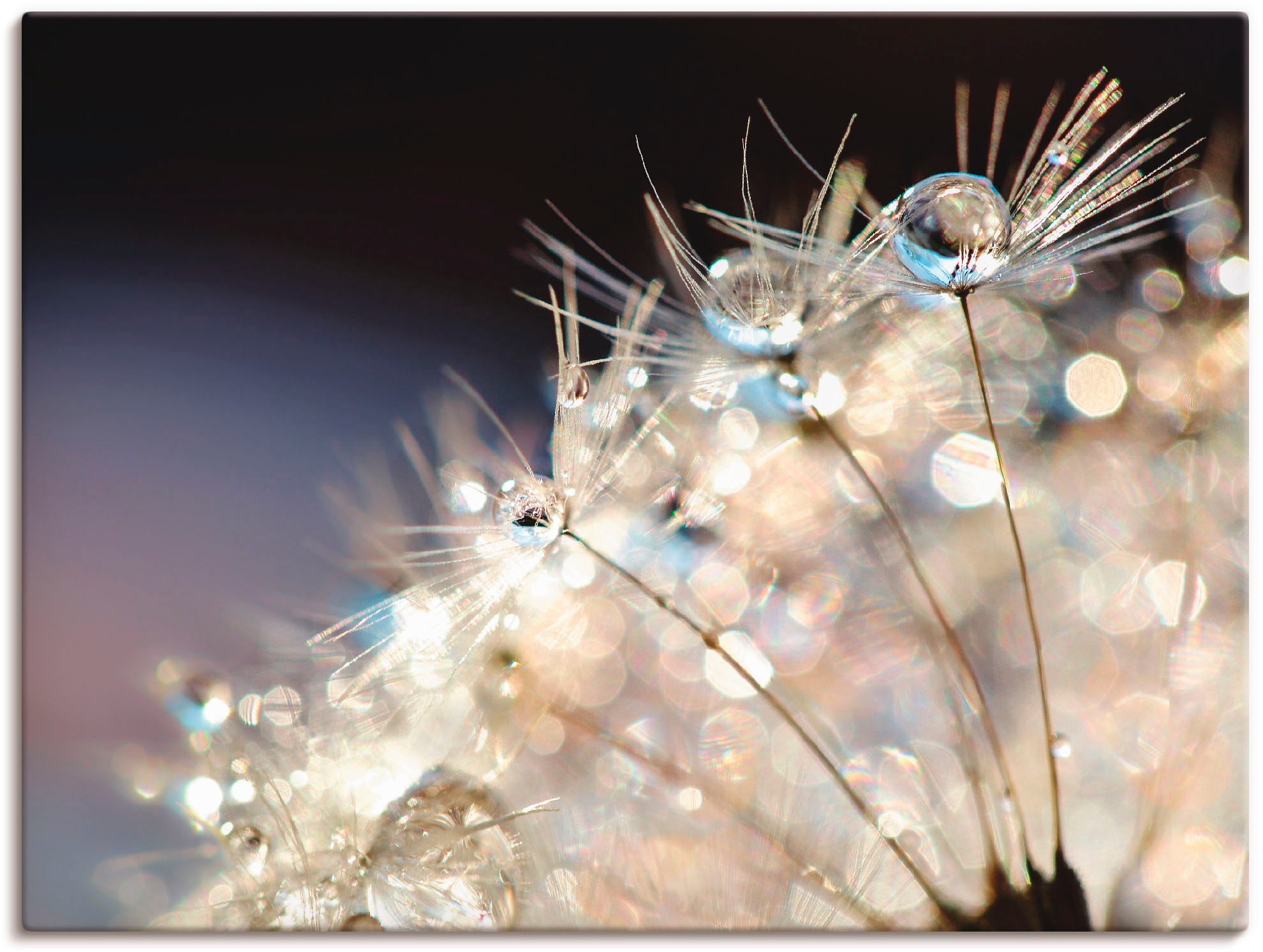 Image of Artland Leinwandbild "Pusteblume Fantasie" Blumen 1 Stk. tlg. auf Holzrahmen gespannt