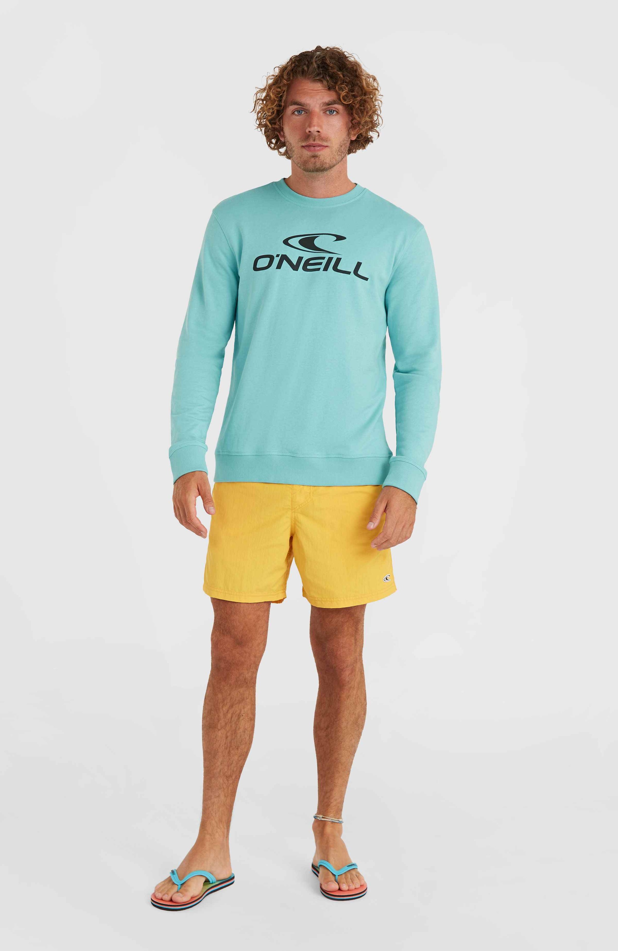 O'Neill Sweatshirt »O'NEILL LOGO CREW«