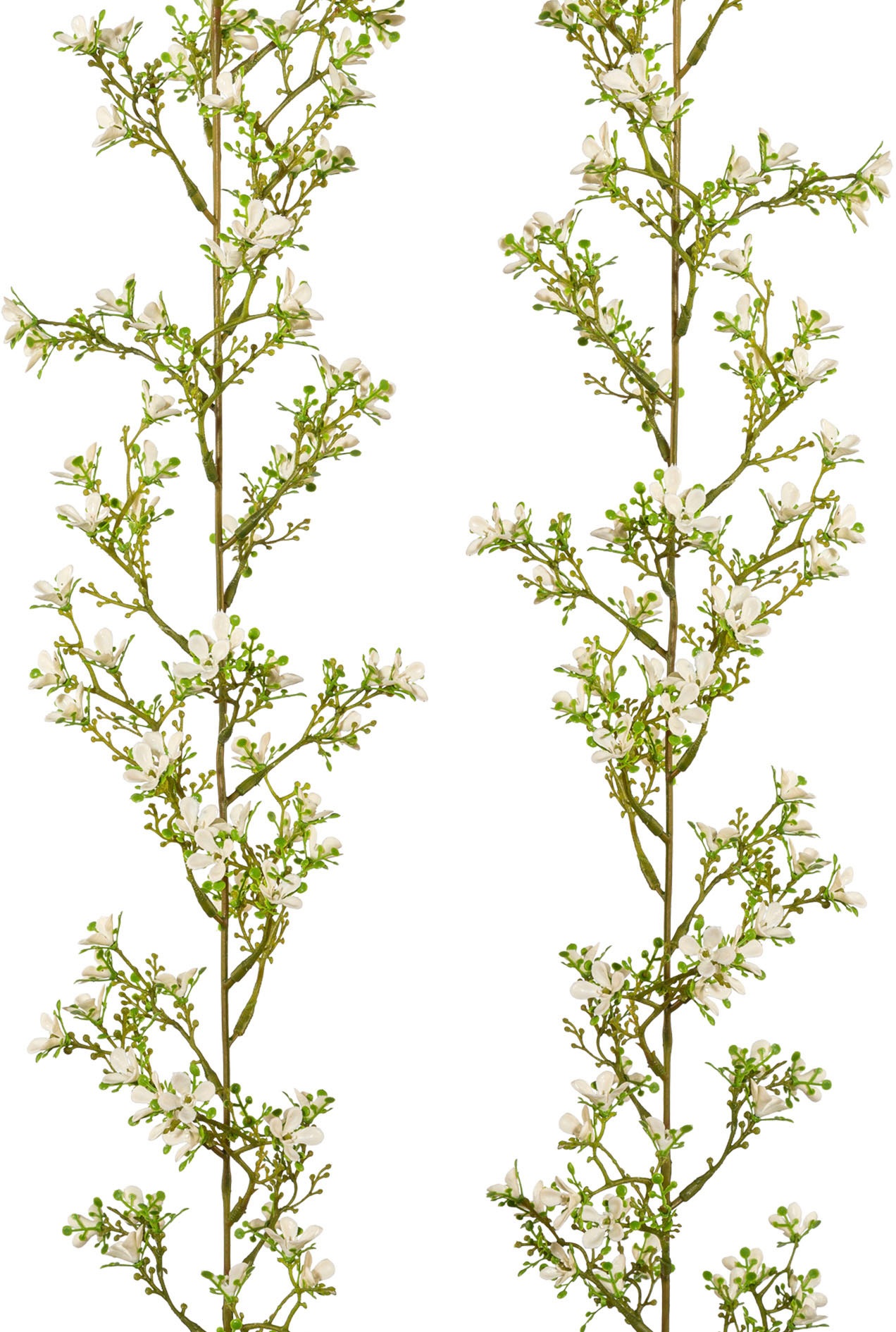 Image of Creativ green Kunstgirlande »Jasmingirlande«, (2 St.), 2er Set bei Ackermann Versand Schweiz