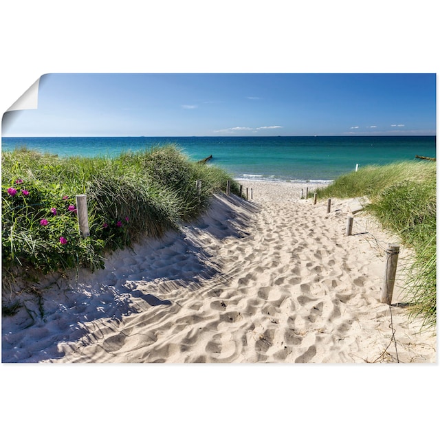 Artland Wandbild »Weg zum Strand an der Ostsee«, Strandbilder, (1 St.), als  Alubild, Leinwandbild, Wandaufkleber oder Poster in versch. Grössen