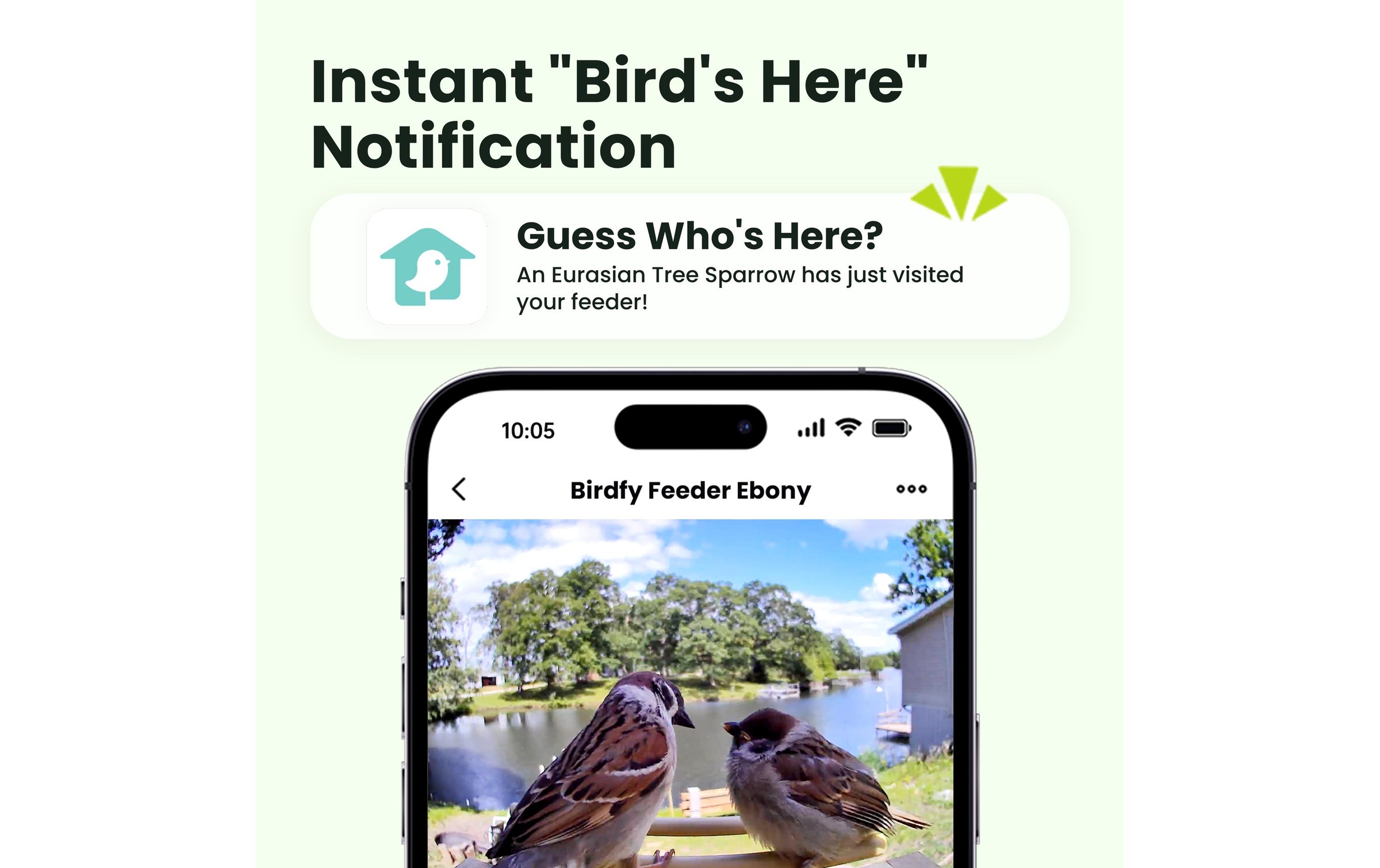 Birdfy Distributeur de nourriture »mit AI-Kamera«
