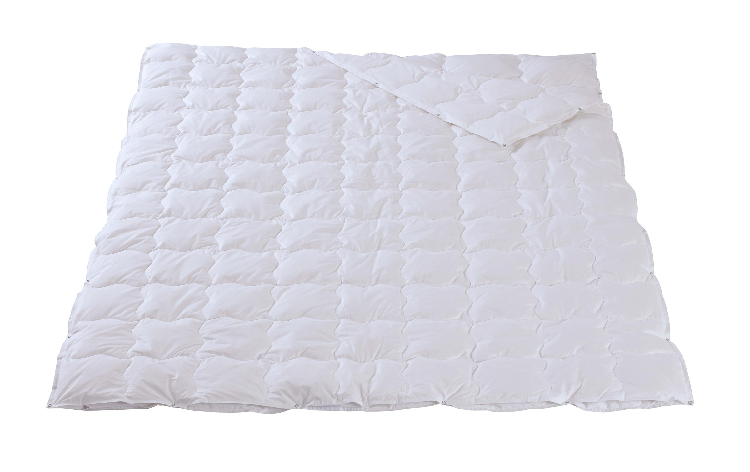 Image of DOR 4-Jahreszeitenbett »Fuchsia, Classic 4-Saisons, 160 x 210 cm«, 4-Jahreszeiten, (1 St.) bei Ackermann Versand Schweiz