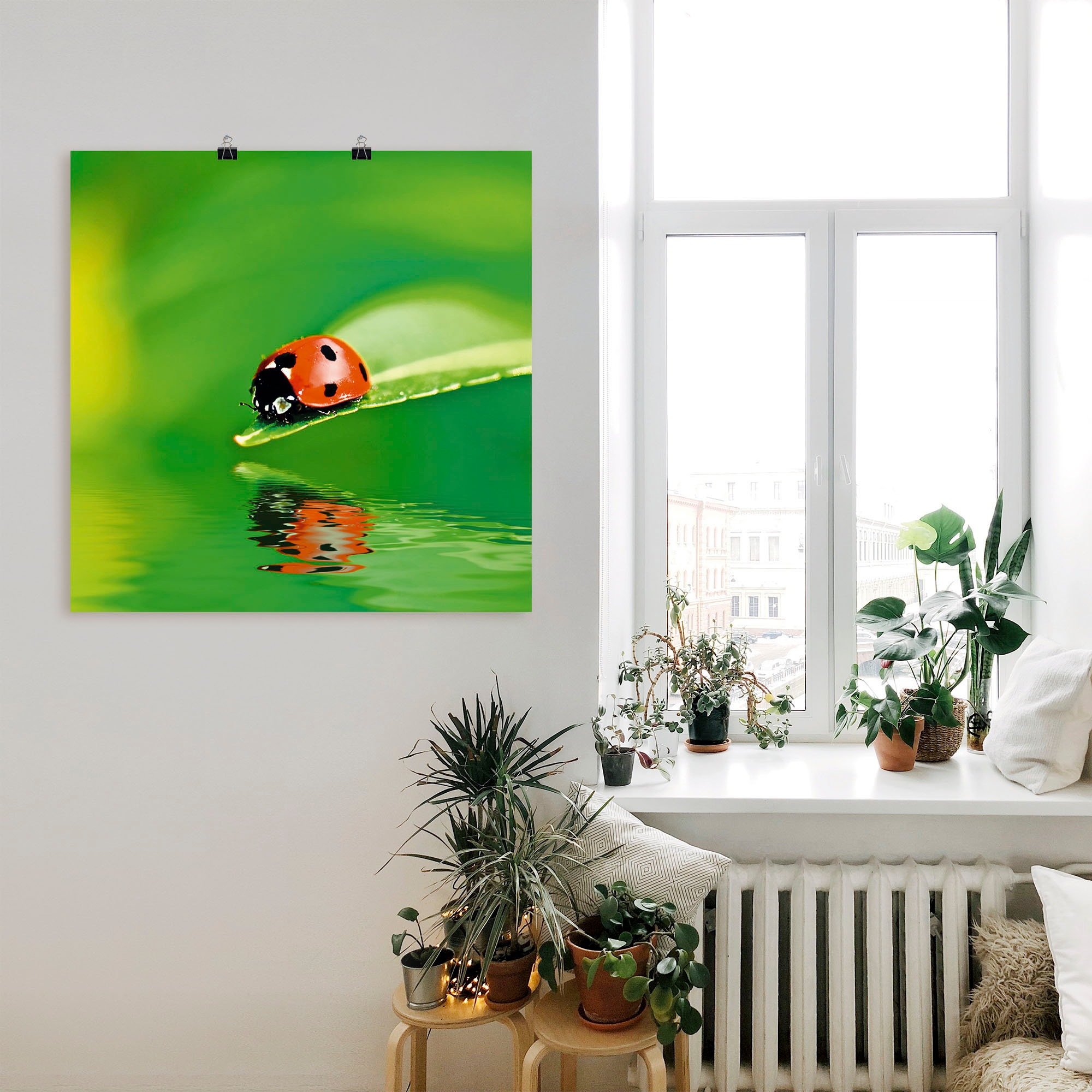 Image of Artland Wandbild »Marienkäfer auf einem Blatt«, Insekten, (1 St.), in vielen Grössen & Produktarten - Alubild / Outdoorbild für den Aussenbereich, Leinwandbild, Poster, Wandaufkleber / Wandtattoo auch für Badezimmer geeignet bei Ackermann Versand Schweiz