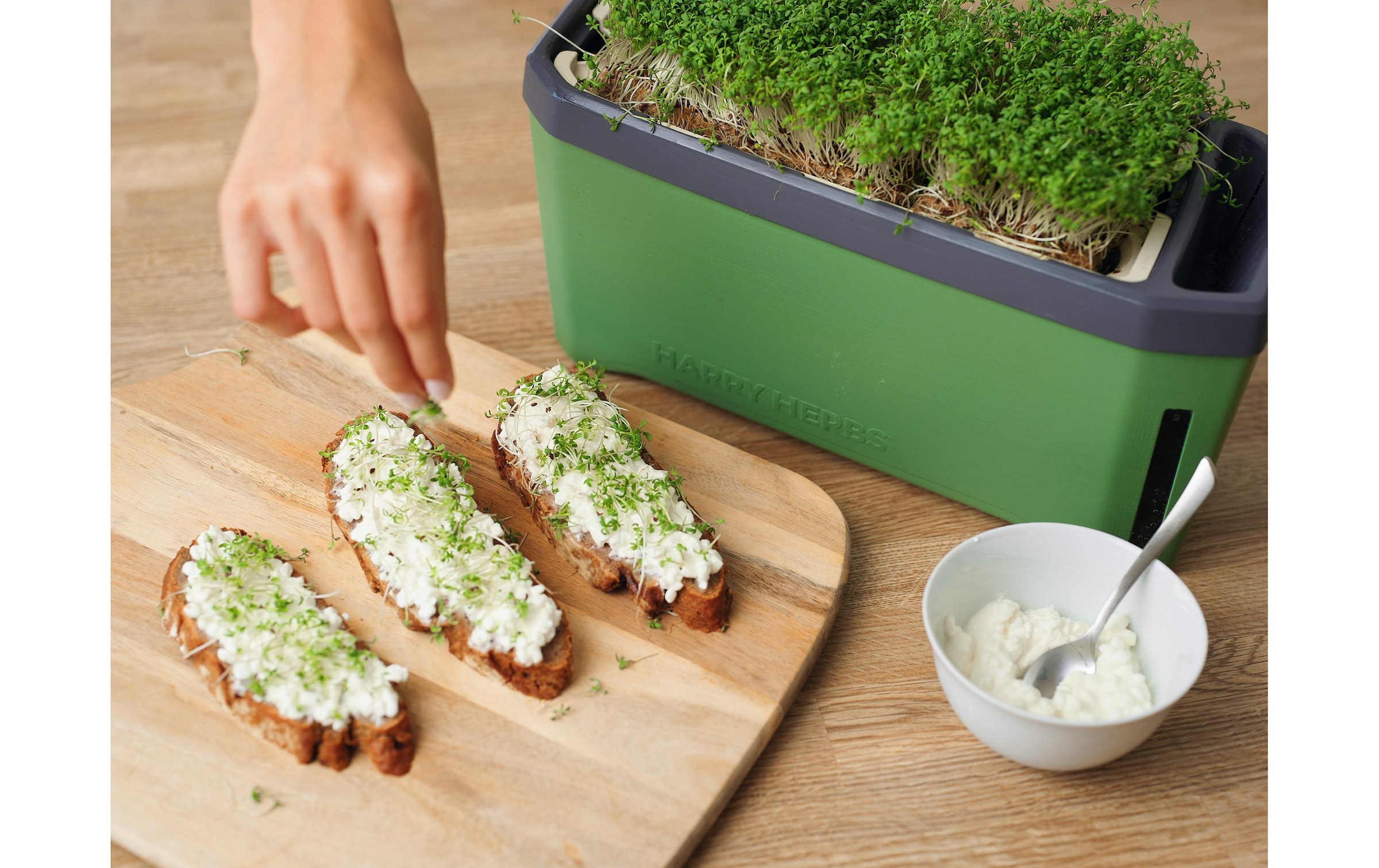 Gusta Garden Kräutertopf »HERBS dunkelgrün«