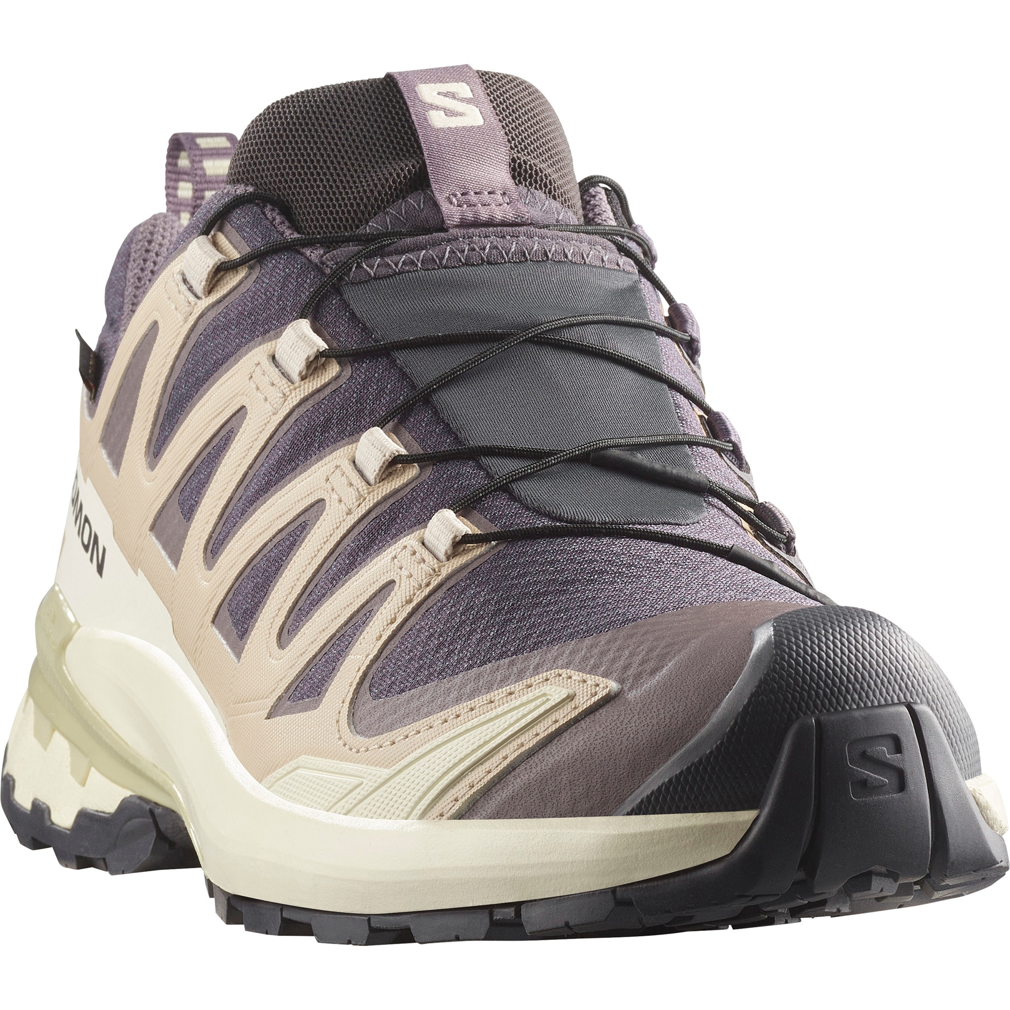 Salomon Trailrunningschuh »XA PRO 3D V9 GORE-TEX W«, wasserdicht