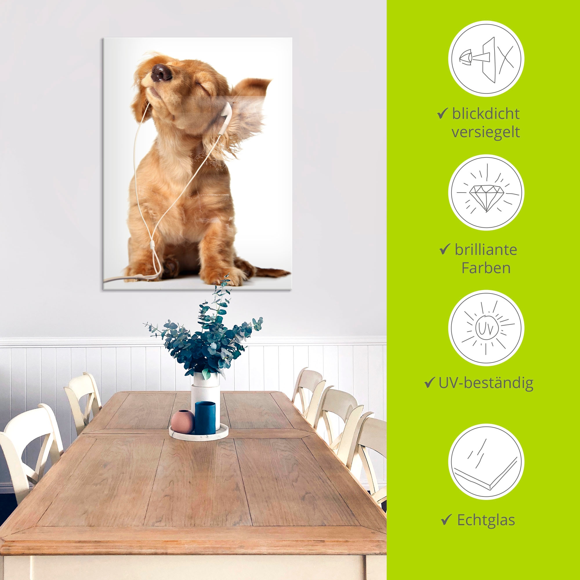 Artland Tableau en verre »Junger Hund hört Musik über Kopfhörer« Animaux de compagnie 1 cuis tlg. disponible en différentes tailles