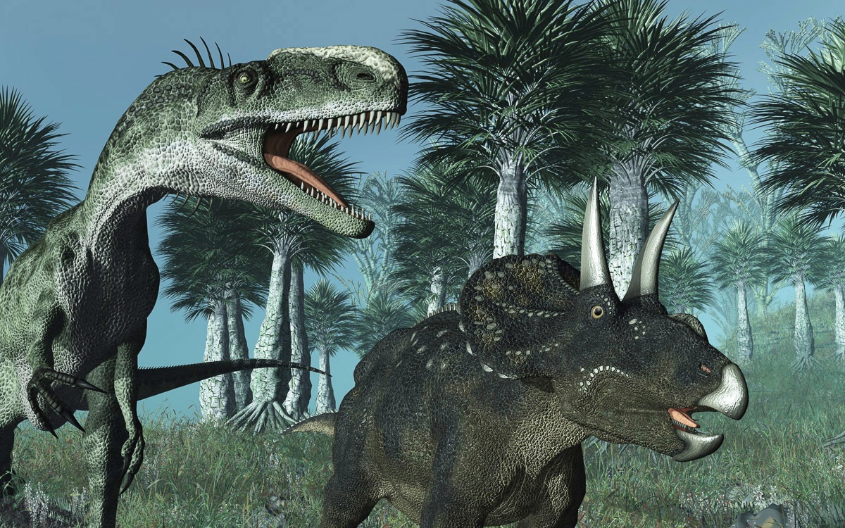 Image of Papermoon Fototapete »Dinosaurier«, Vliestapete, hochwertiger Digitaldruck, inklusive Kleister bei Ackermann Versand Schweiz