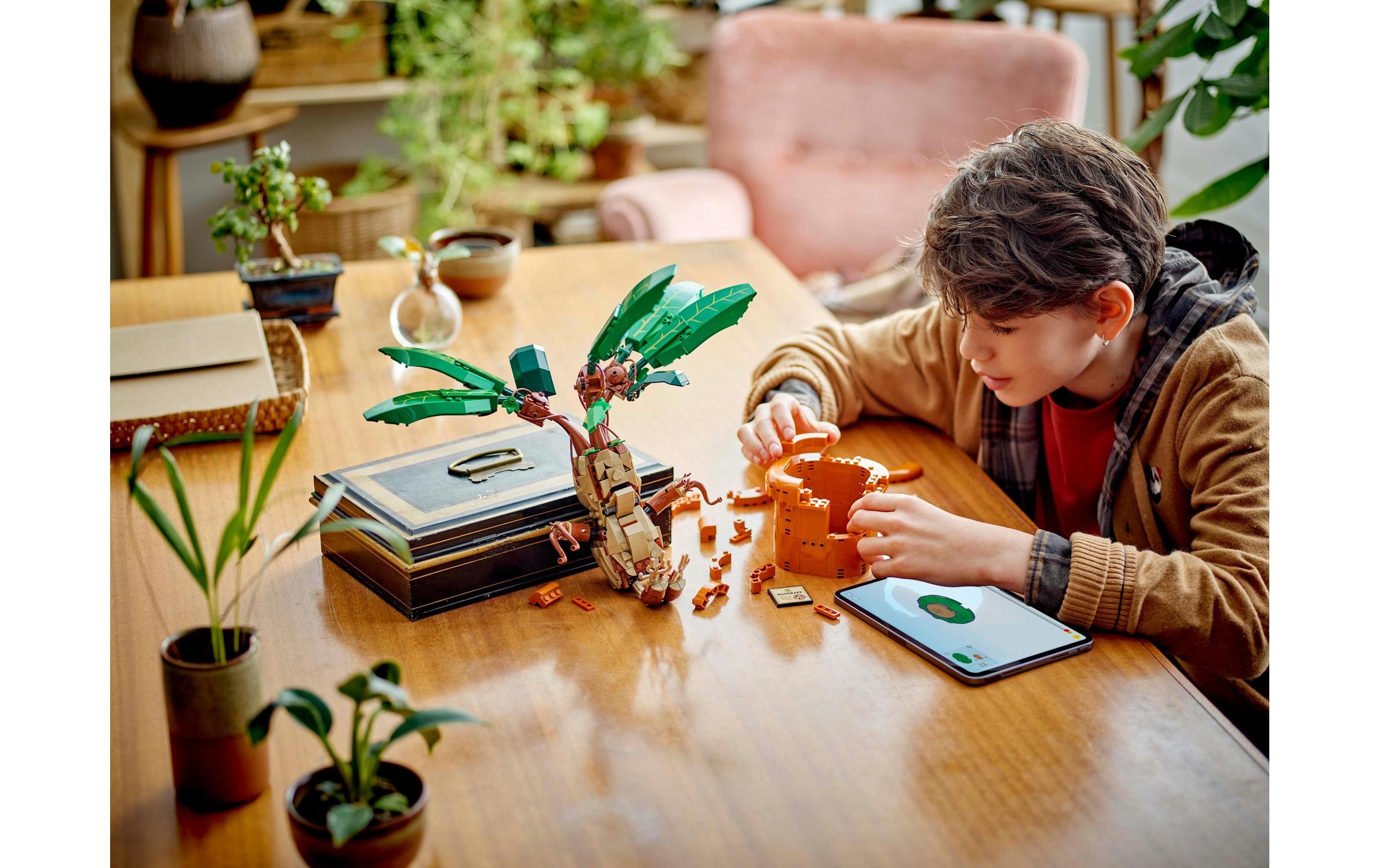 LEGO® Spielbausteine »Harry Potter Zaubertrankpflanze: Alraune 76433«