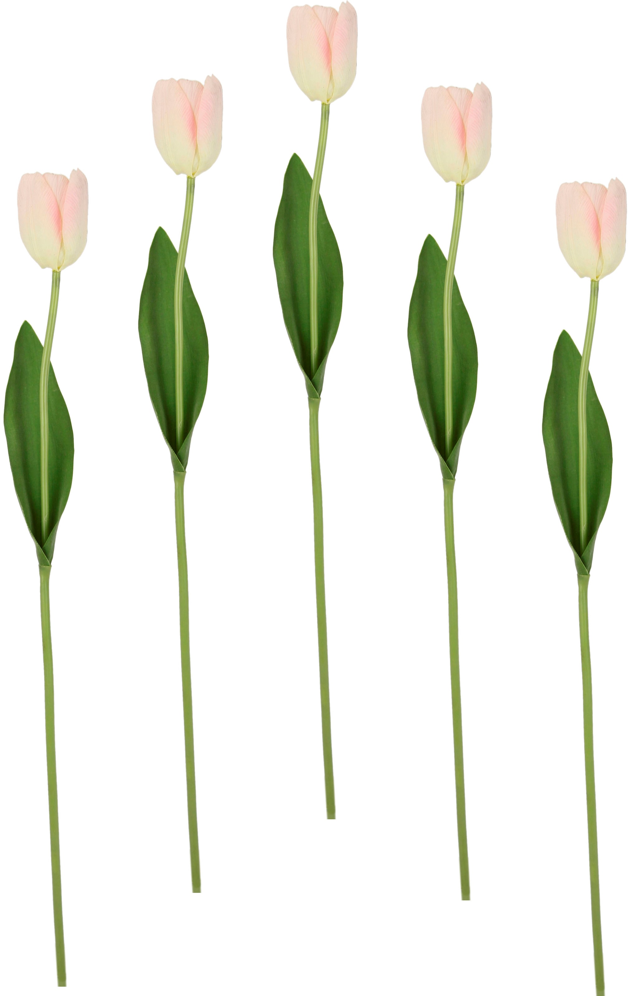 I.GE.A. Kunstblume kaufen Tulpen«, Kunstblumen, jetzt 5er künstliche Touch Set Tulpenknospen, Stielblume »Real