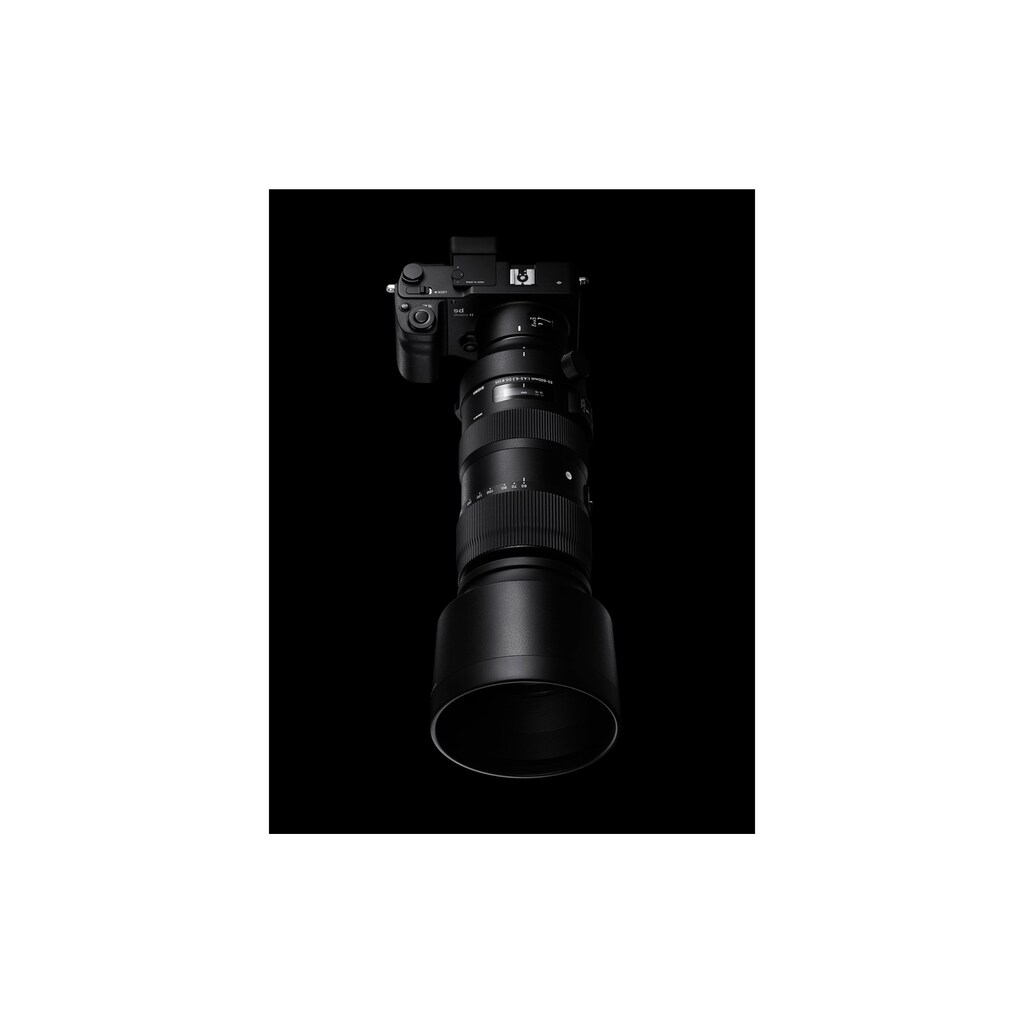 SIGMA Zoomobjektiv »60-600mm f / 4.5-6.3 DG OS HSM Sp Ni«