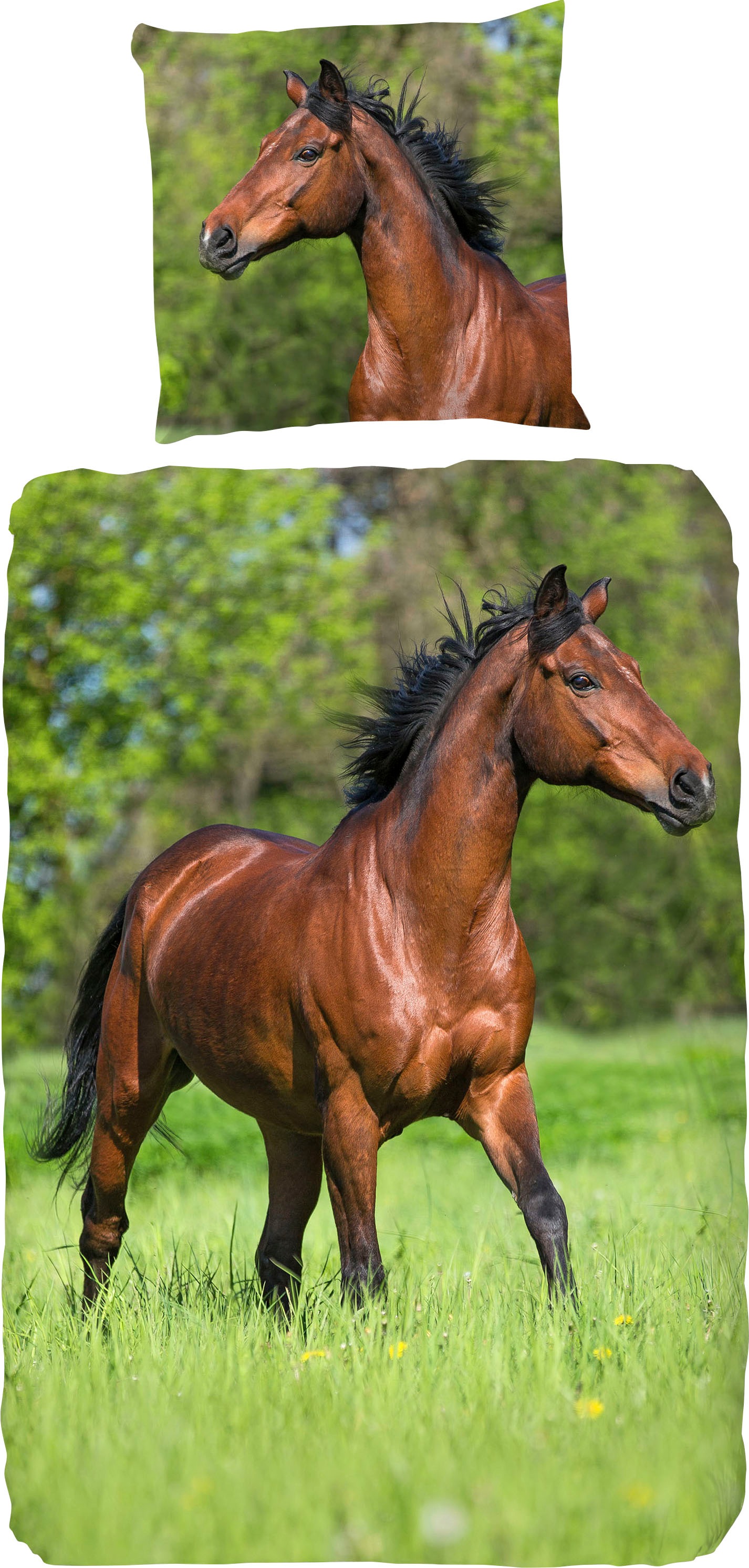 Kinderbettwäsche »Running horse«, (2 tlg.), mit Pferden