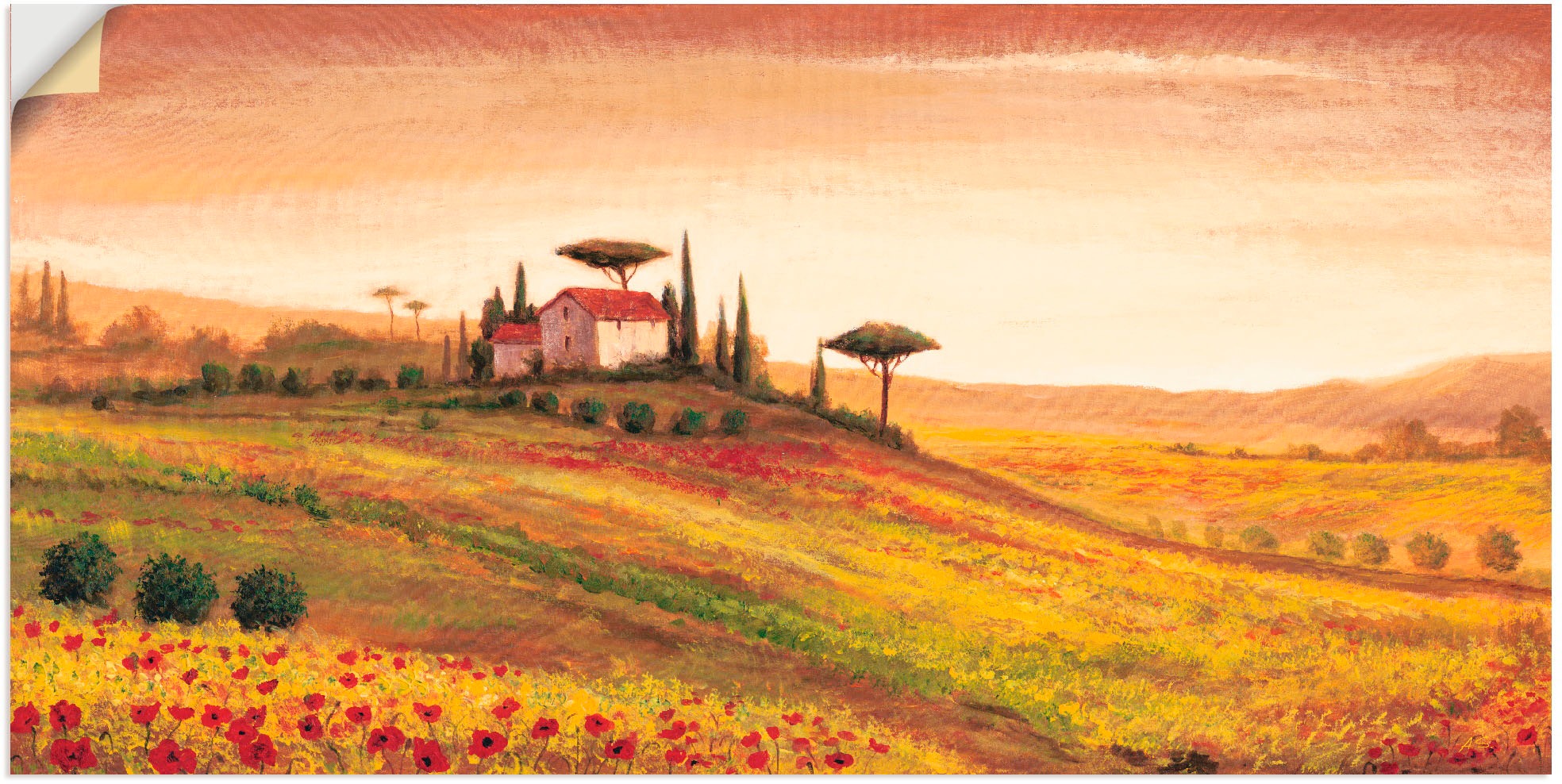 Image of Artland Wandbild »Toskanalandschaft mit Mohnblumen«, Europa, (1 St.), in vielen Grössen & Produktarten - Alubild / Outdoorbild für den Aussenbereich, Leinwandbild, Poster, Wandaufkleber / Wandtattoo auch für Badezimmer geeignet bei Ackermann Versand Schwe