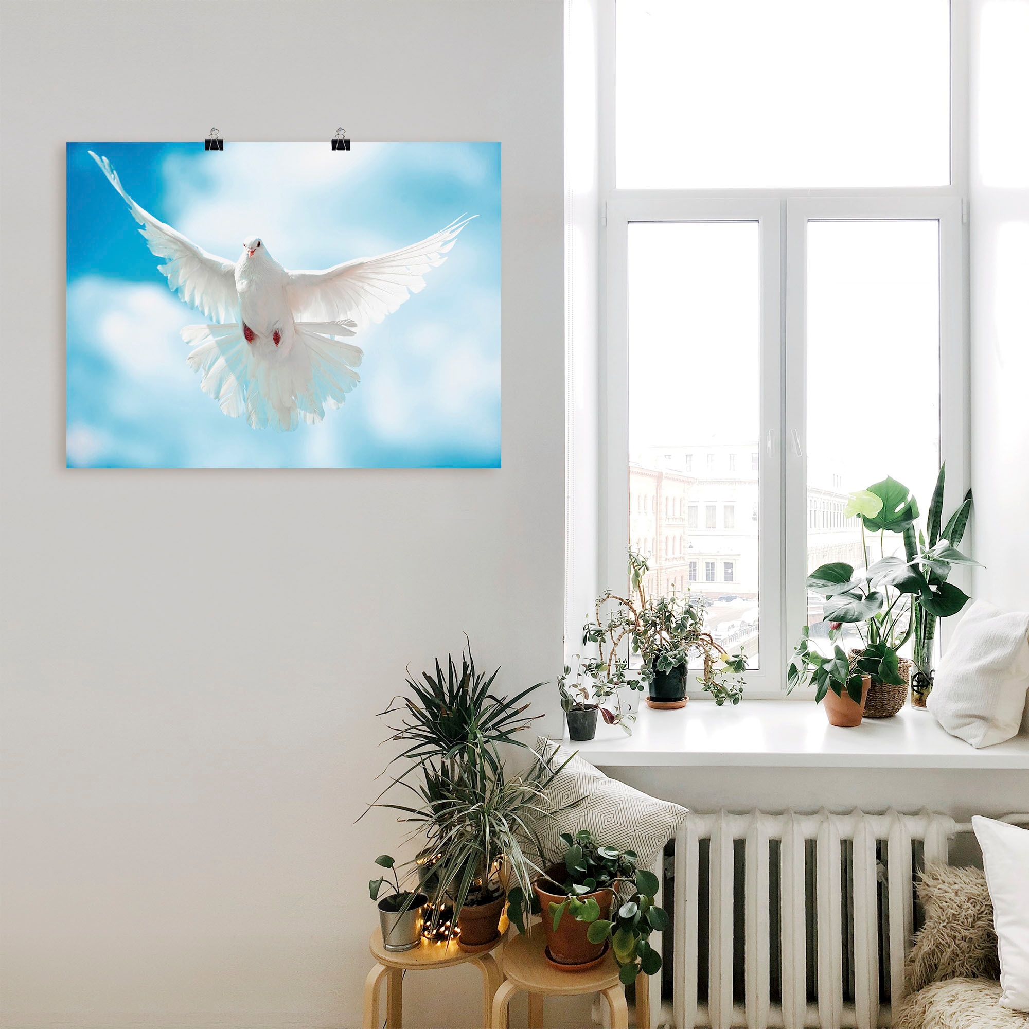 Artland Wandbild »Taube mit ausgebreiteten Flügeln« Vögel 1 Stk. tlg. als Alubild, Leinwandbild, Poster in verschied. Grössen