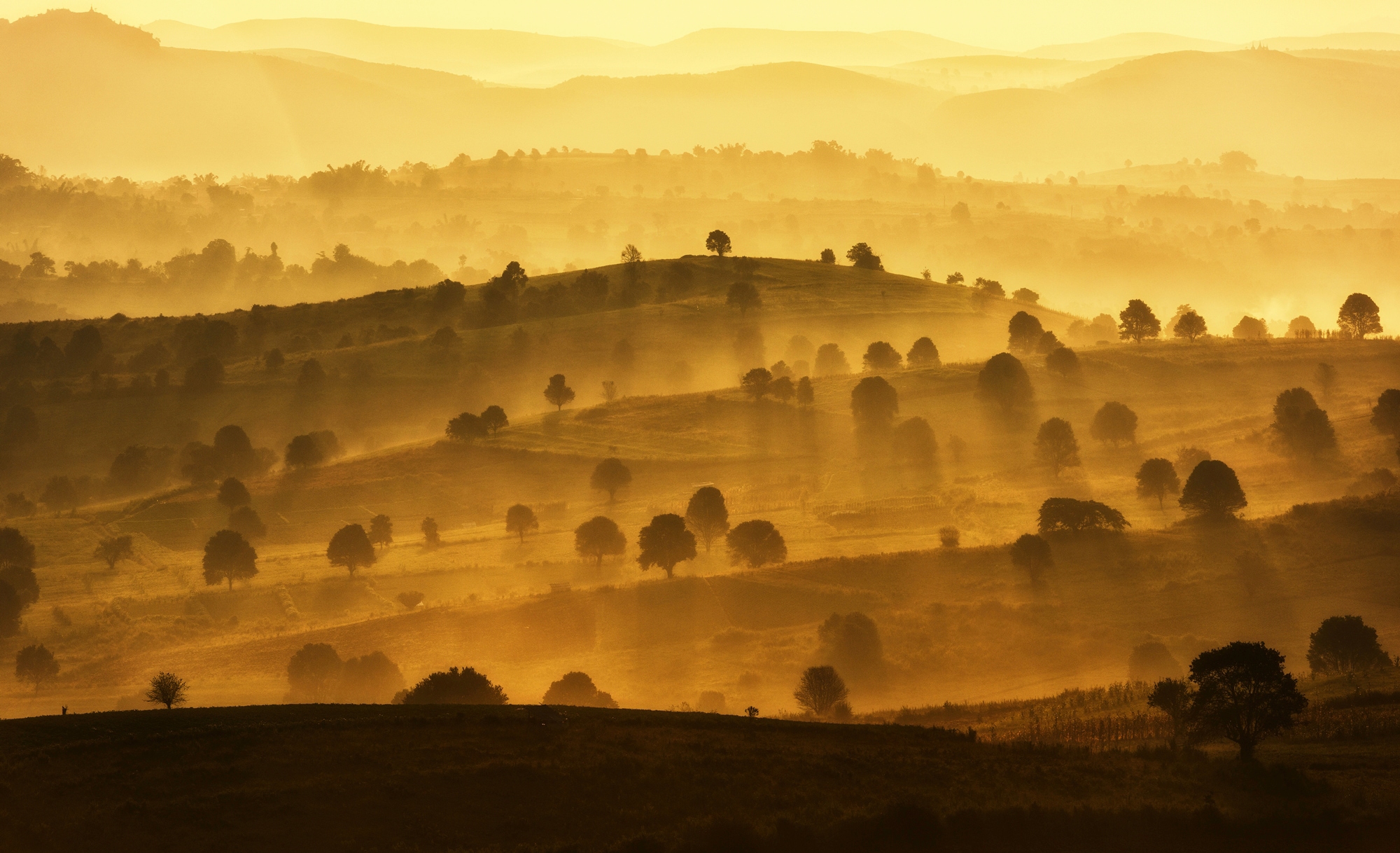 Image of Papermoon Fototapete "BERGE-LANDSCHAFT DORF WIESE NEBEL GEBIRGE SONNE WALD"
