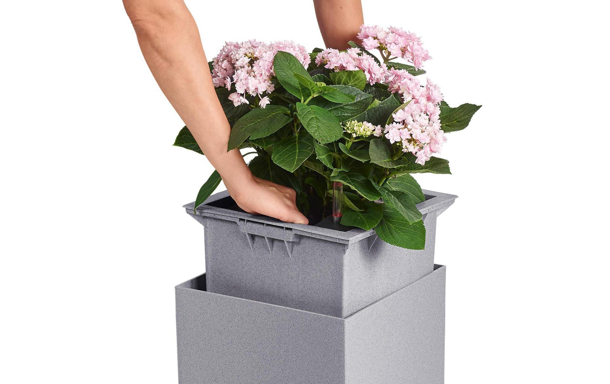 Blumentopf »Lechuza Canto Color High«
