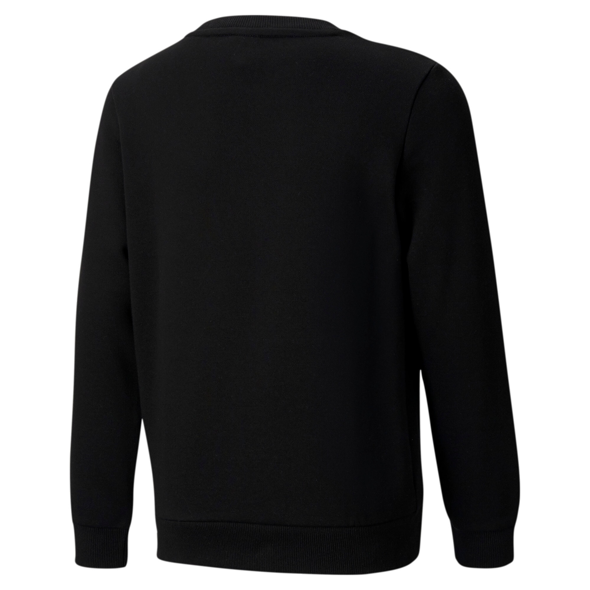 PUMA Sweatshirt »ESS BIG LOGO CREW FL B«