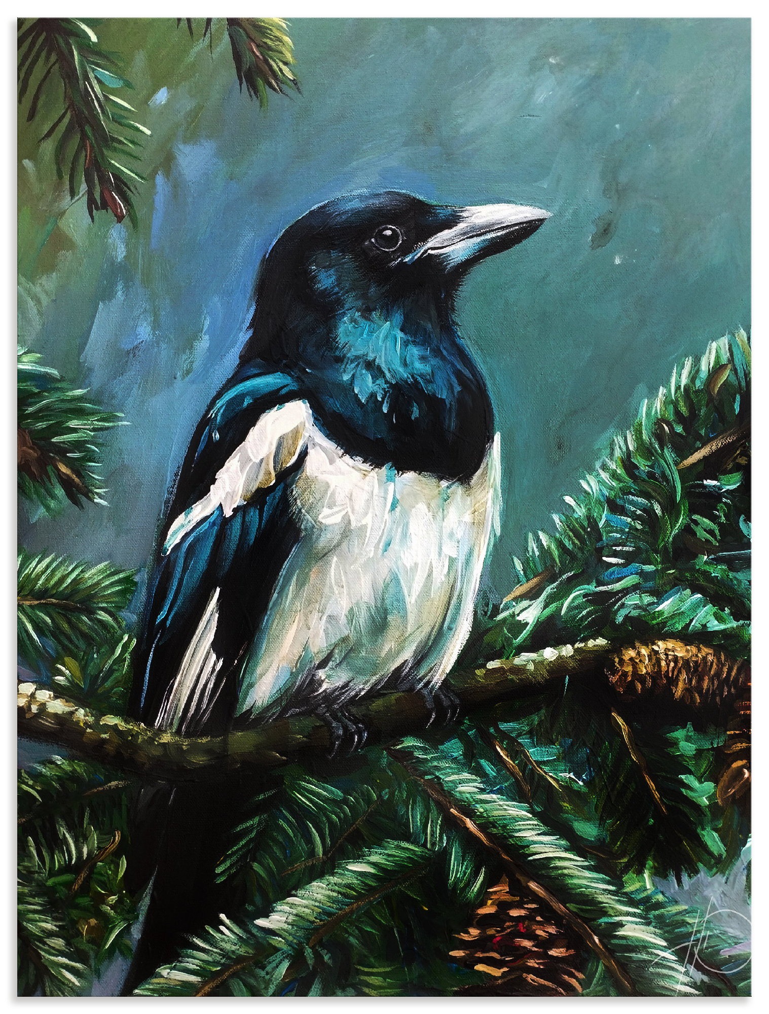 Image of Artland Wandbild "Die Elster im Tann" Vogelbilder 1 Stk. tlg. als Alubild, Leinwandbild, Poster, Wandaufkleber in verschied. Grössen