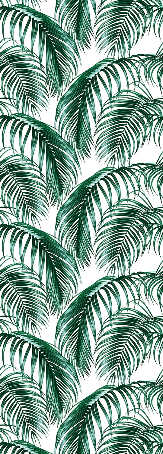 Image of queence Vinyltapete "Tropische Blätter - grün/weiss" Motiv bedruckt botanisch floral gemustert natürlich glatt 90x250cm, selbstklebend, kinderleichte Anbringung, Sticker