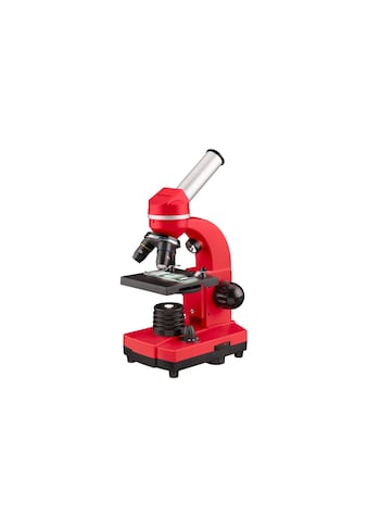 Kindermikroskop »Junior Schülermikroskop 40x - 1600«